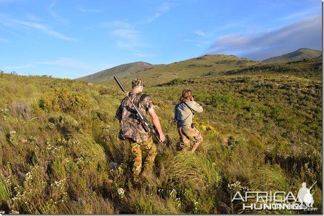 Stalking in high country