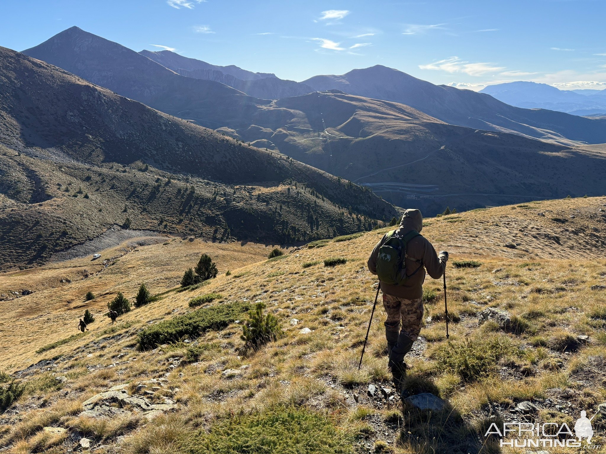 Stalking Spanish Pyrenean Chamois