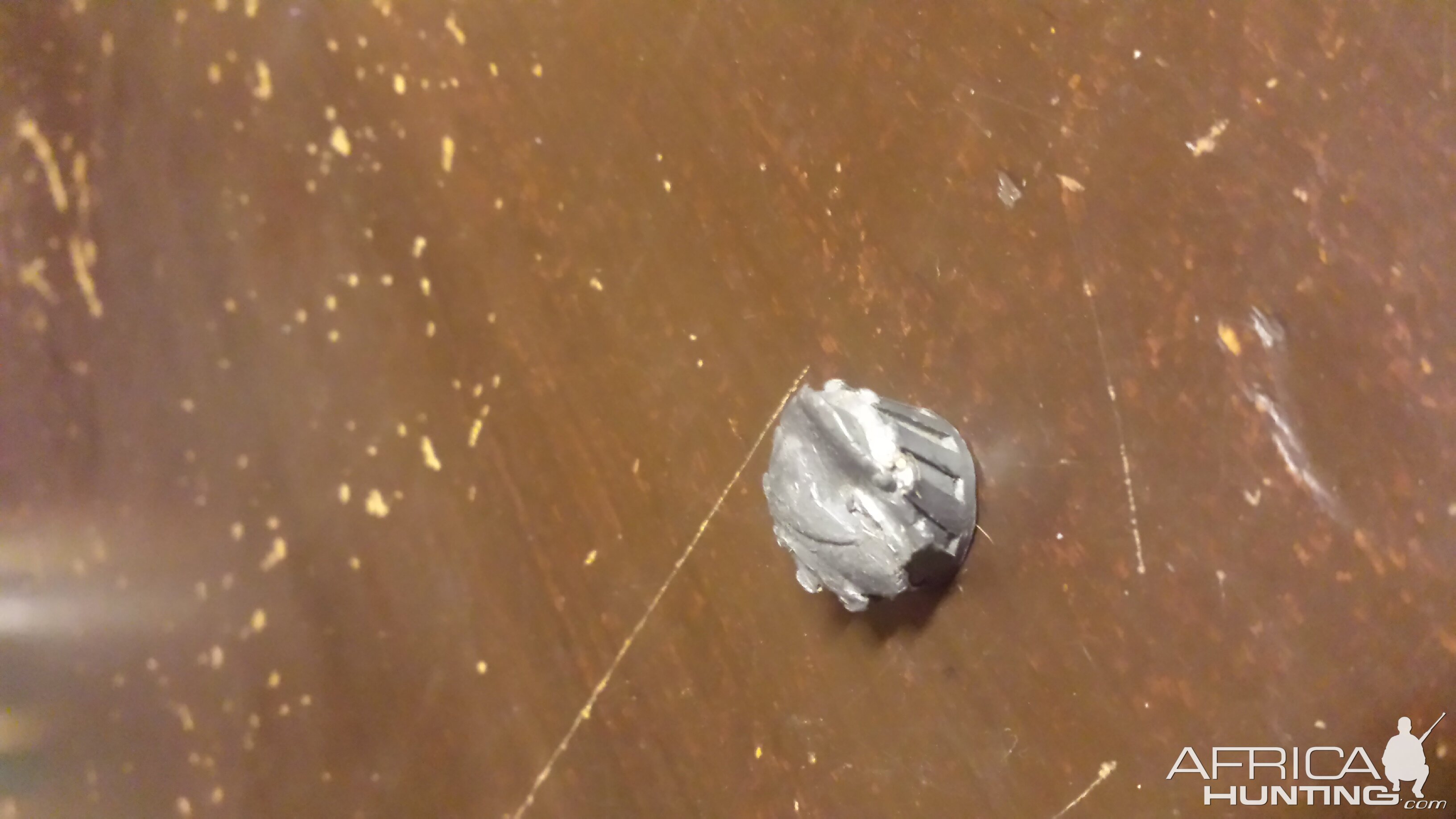 Standard Brenneke 12ga slug