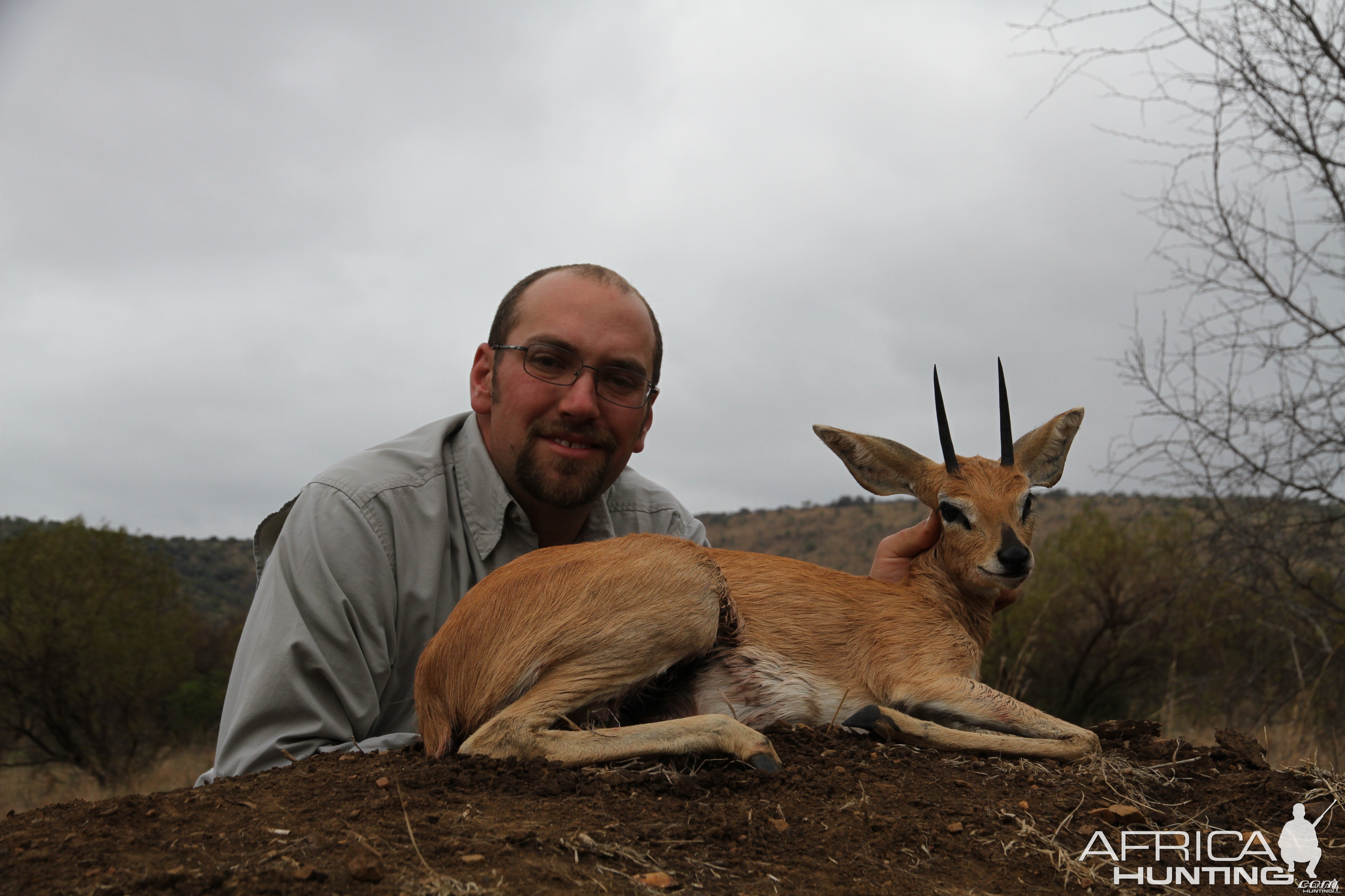 Steenbok 2012