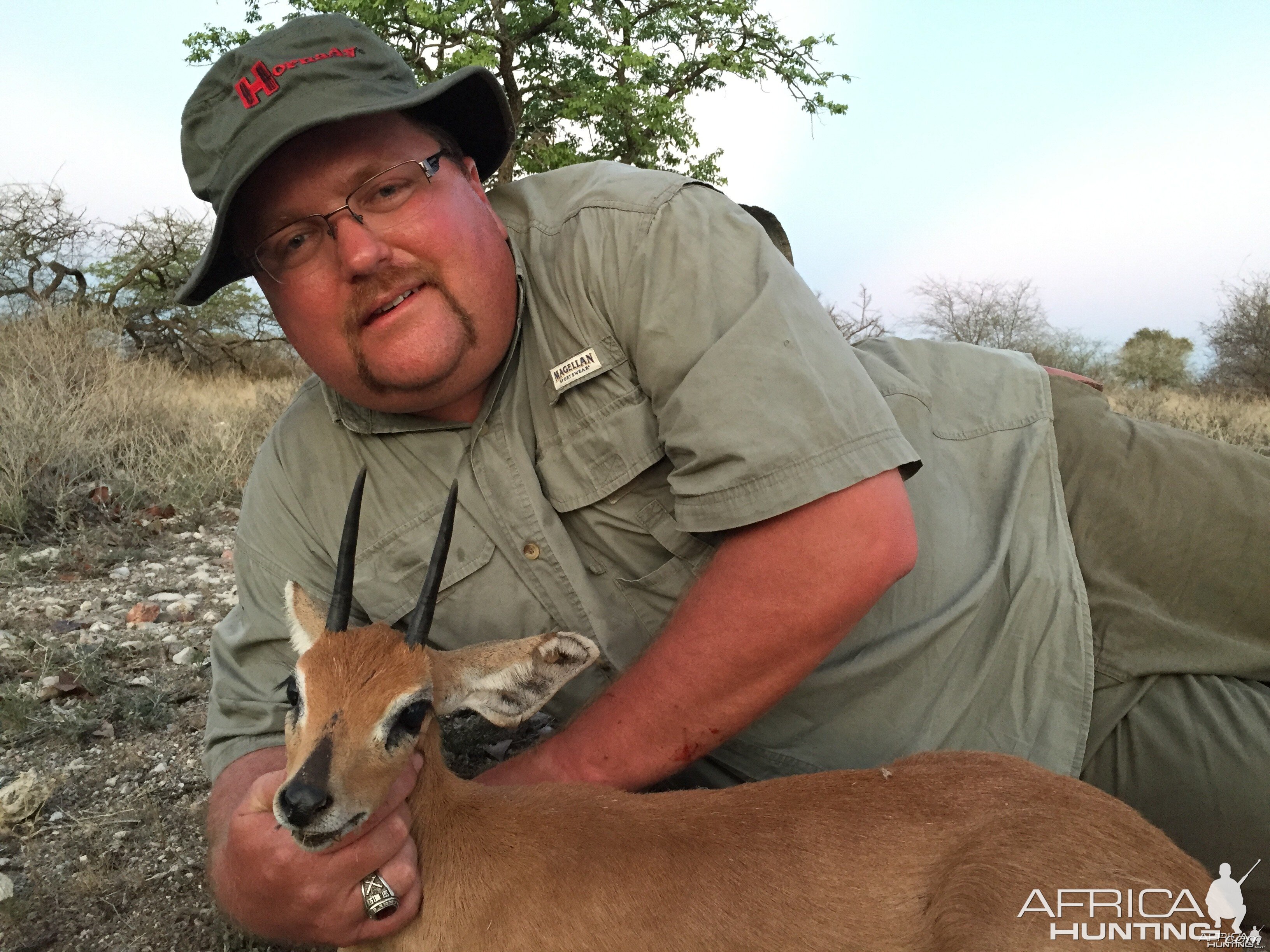 Steenbok 2015 South Africa