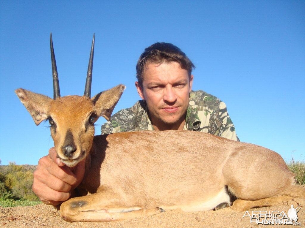 Steenbok 5.25"