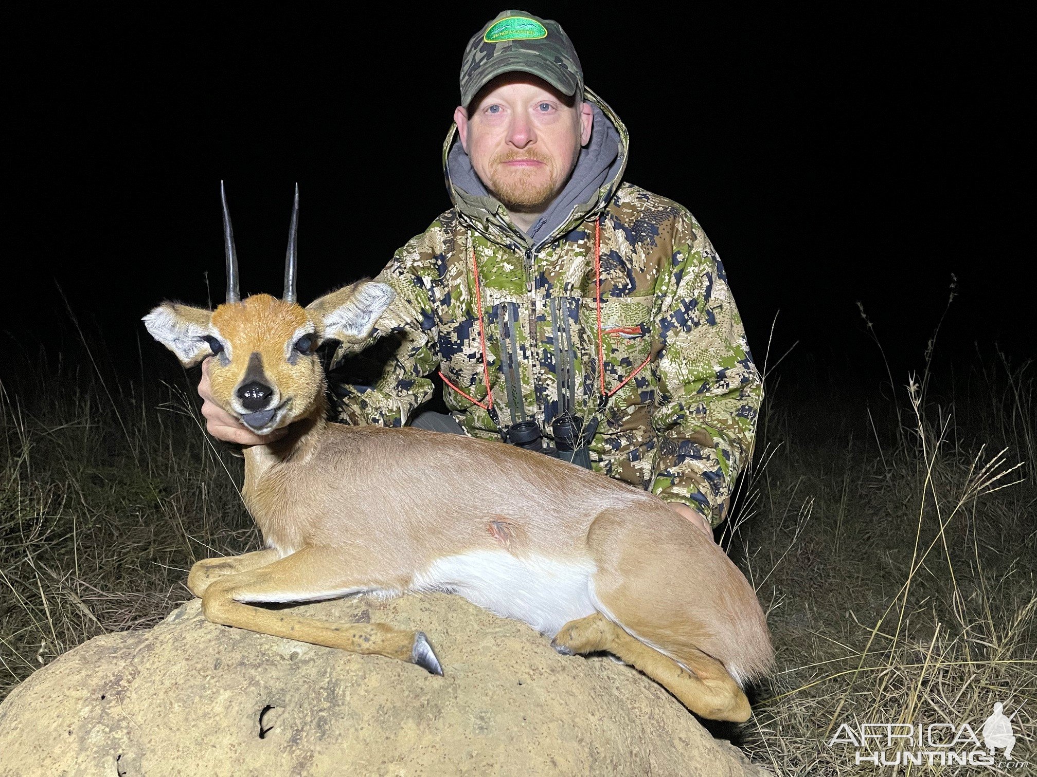 Steenbok Hunt Eastern Cape South Africa