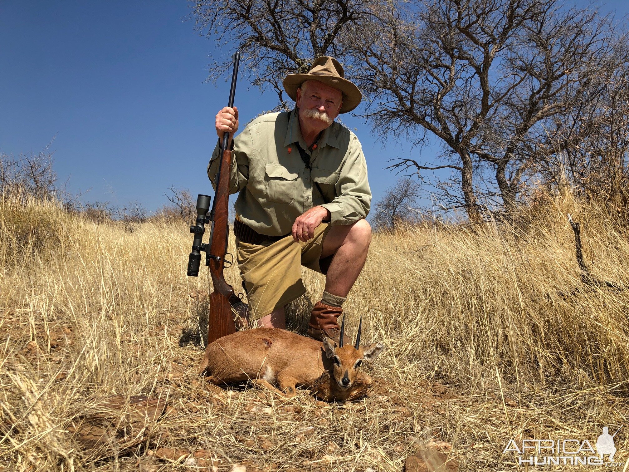 Steenbok Hunt Namibia