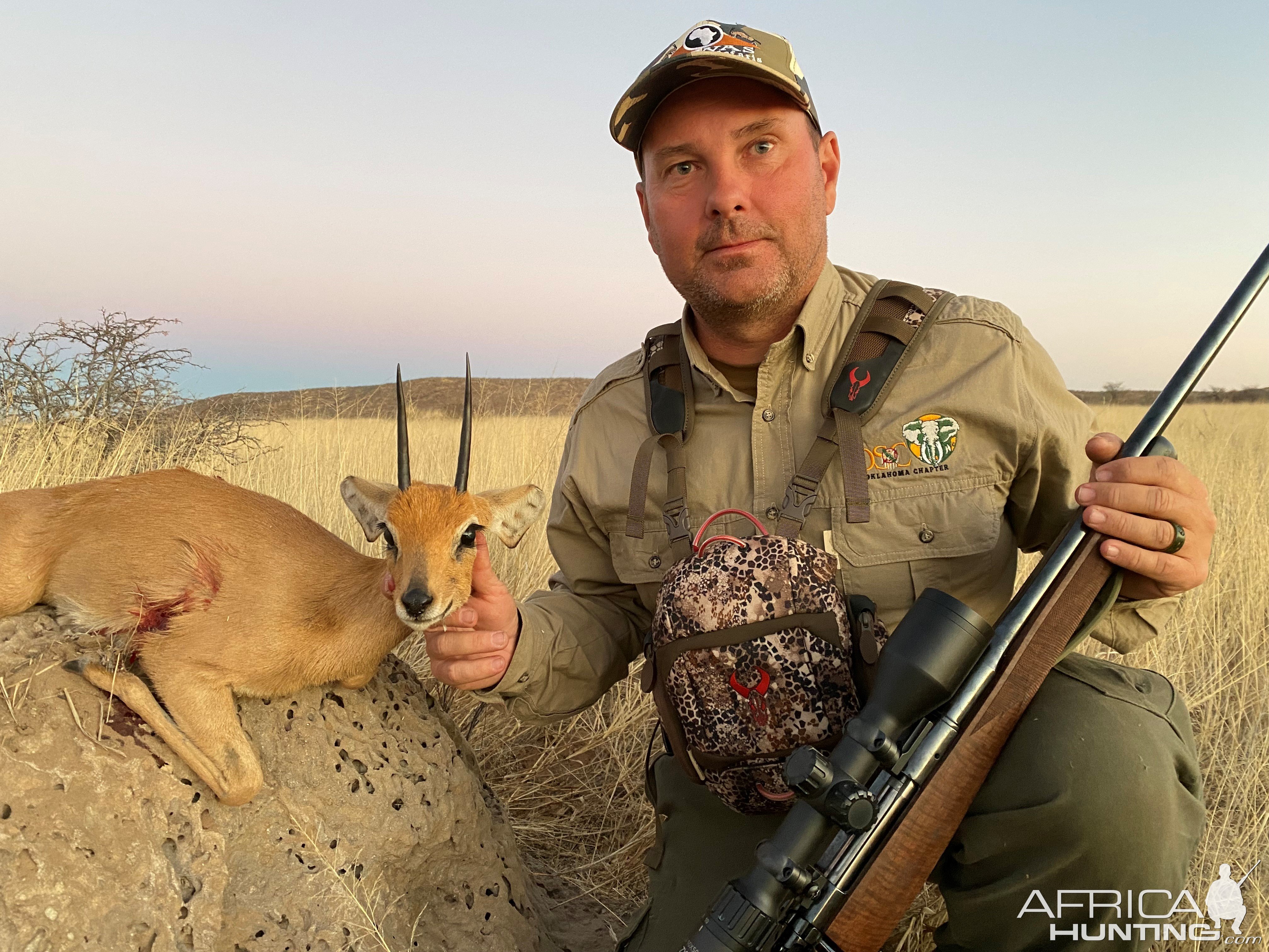 Steenbok Hunt Namibia