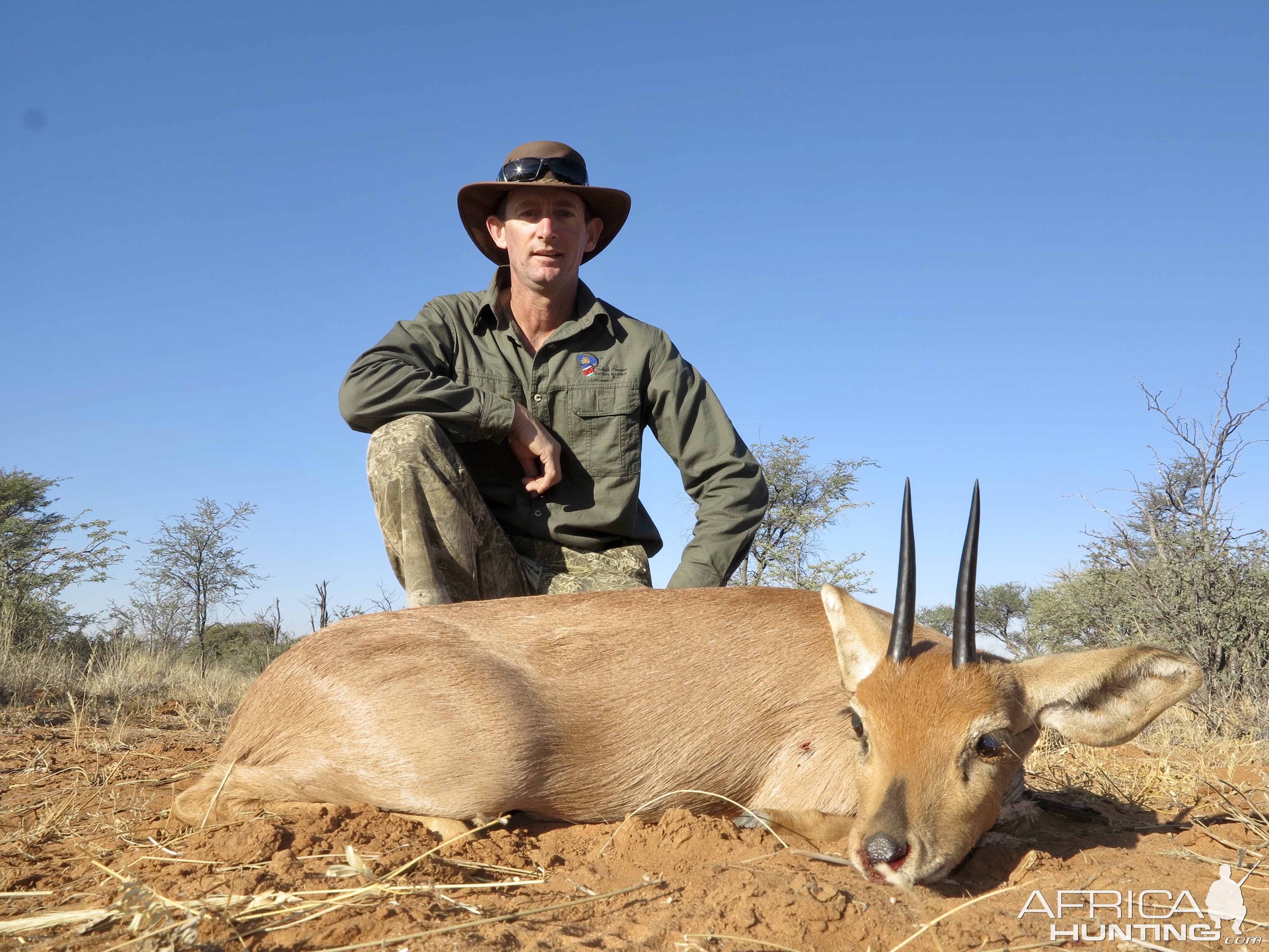 Steenbok Hunt Namibia