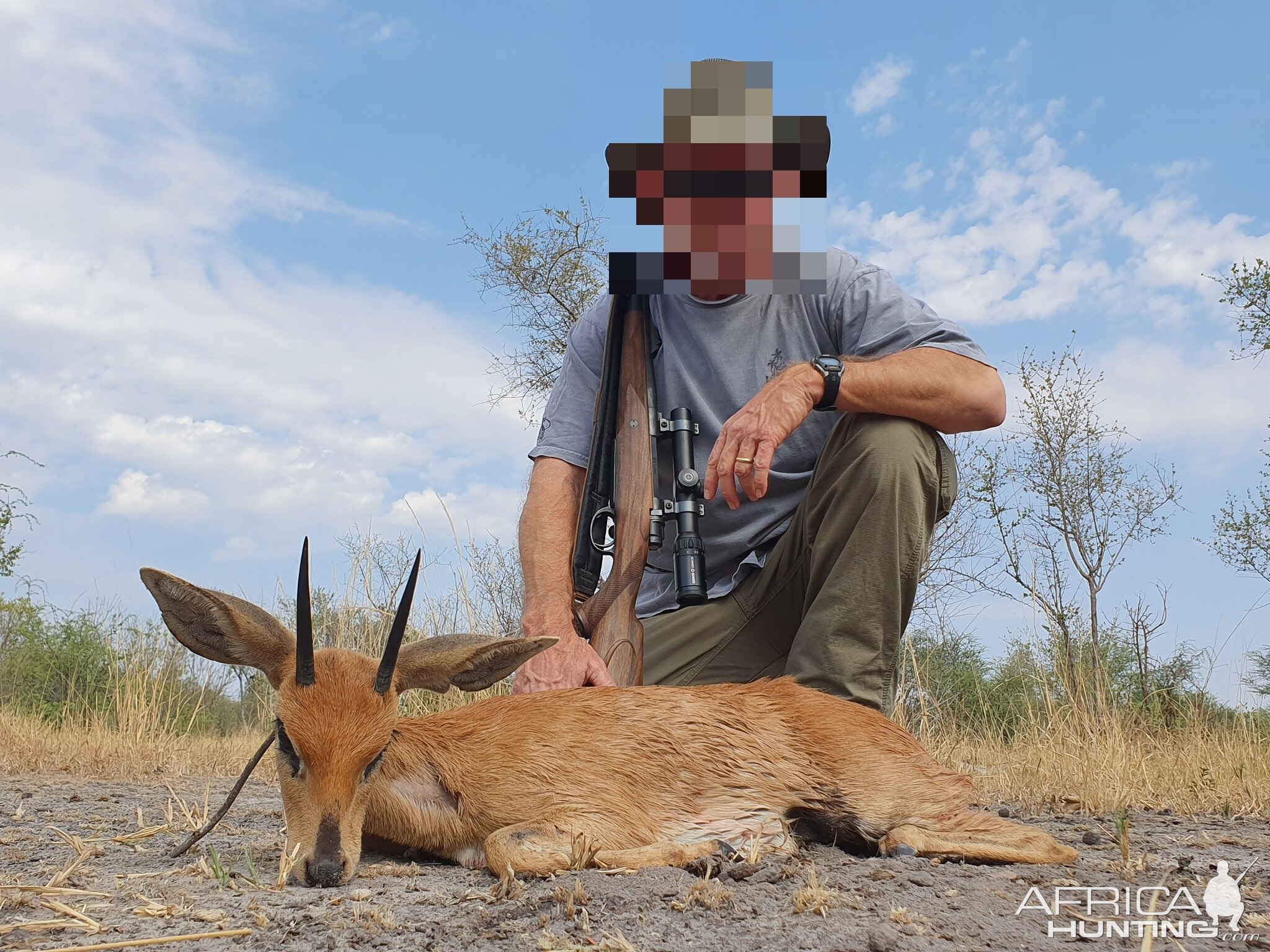 Steenbok Hunt Namibia