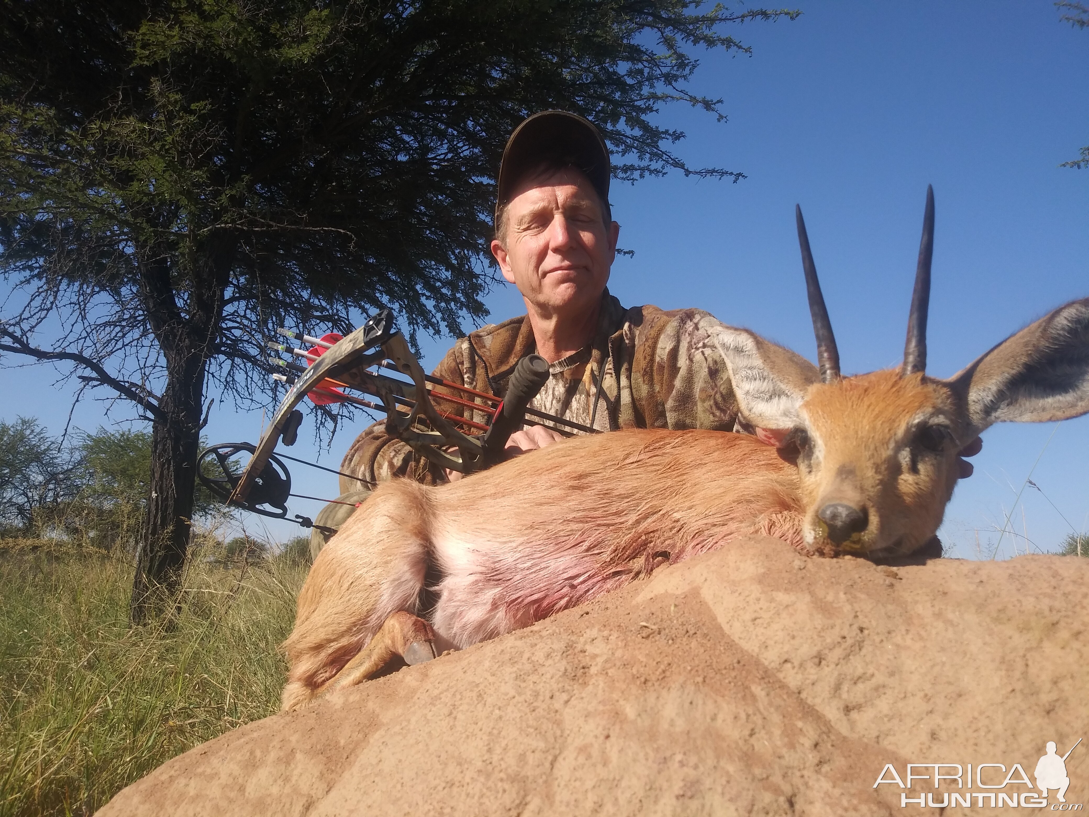 Steenbok Hunt South Africa