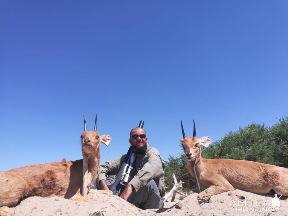 Steenbok Hunting in Botswana