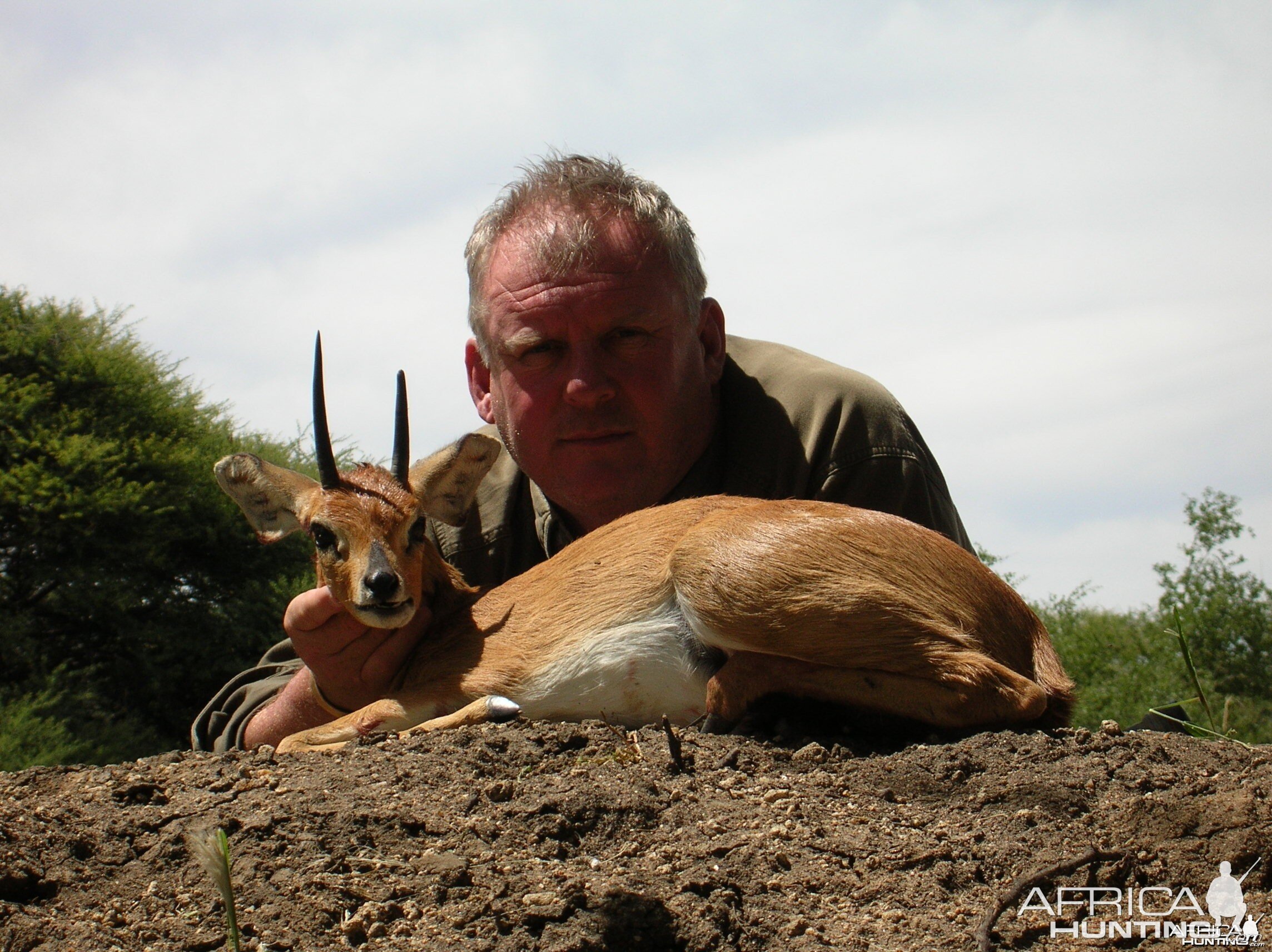 Steenbok Hunting in Namibia