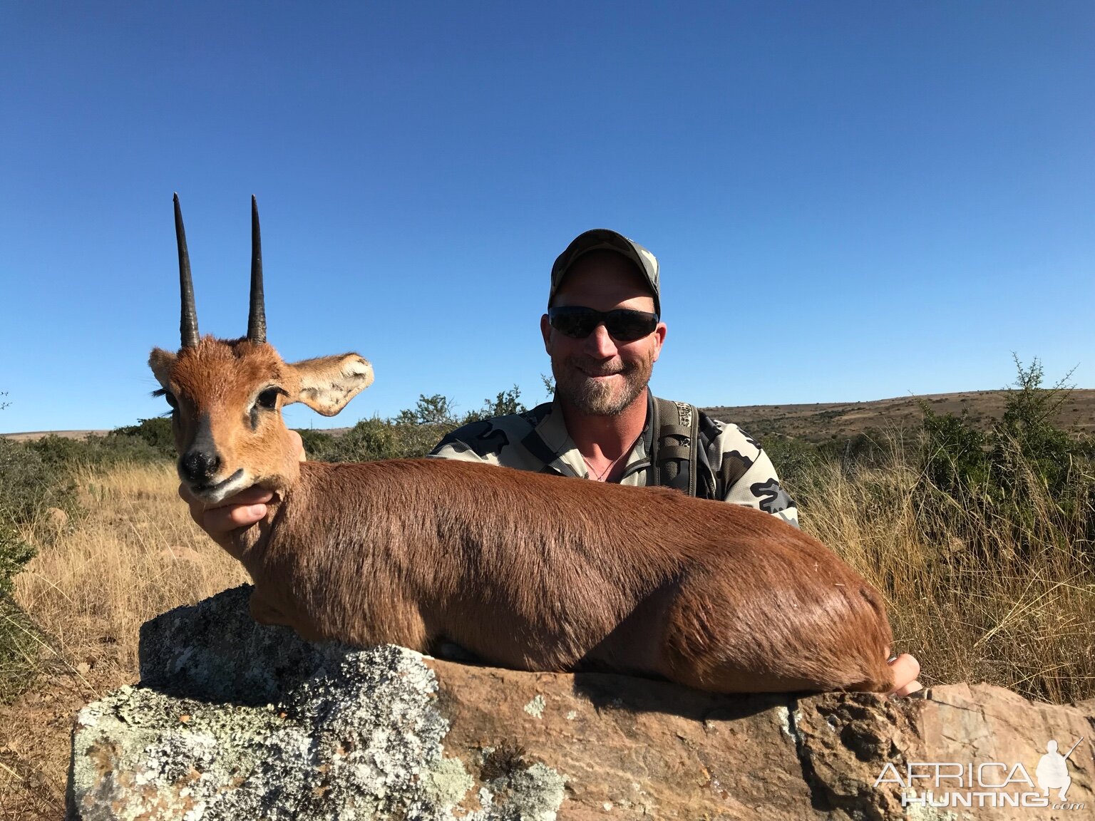 Steenbok Hunting in South Africa