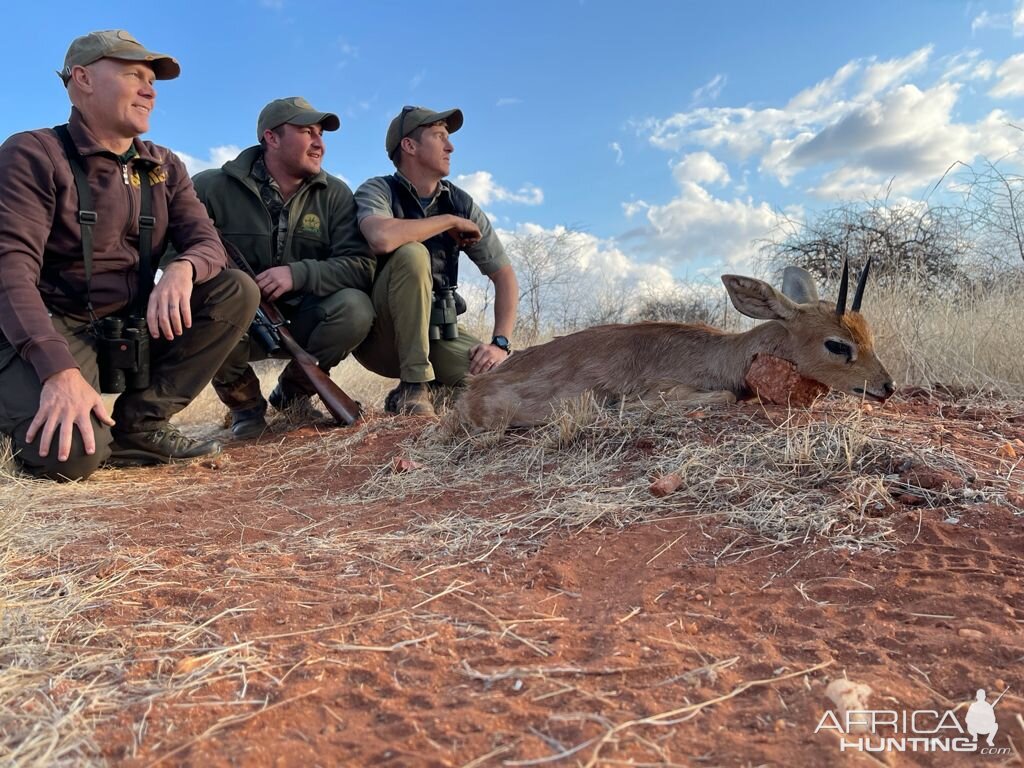 Steenbok Hunting Limpopo Povince South Africa