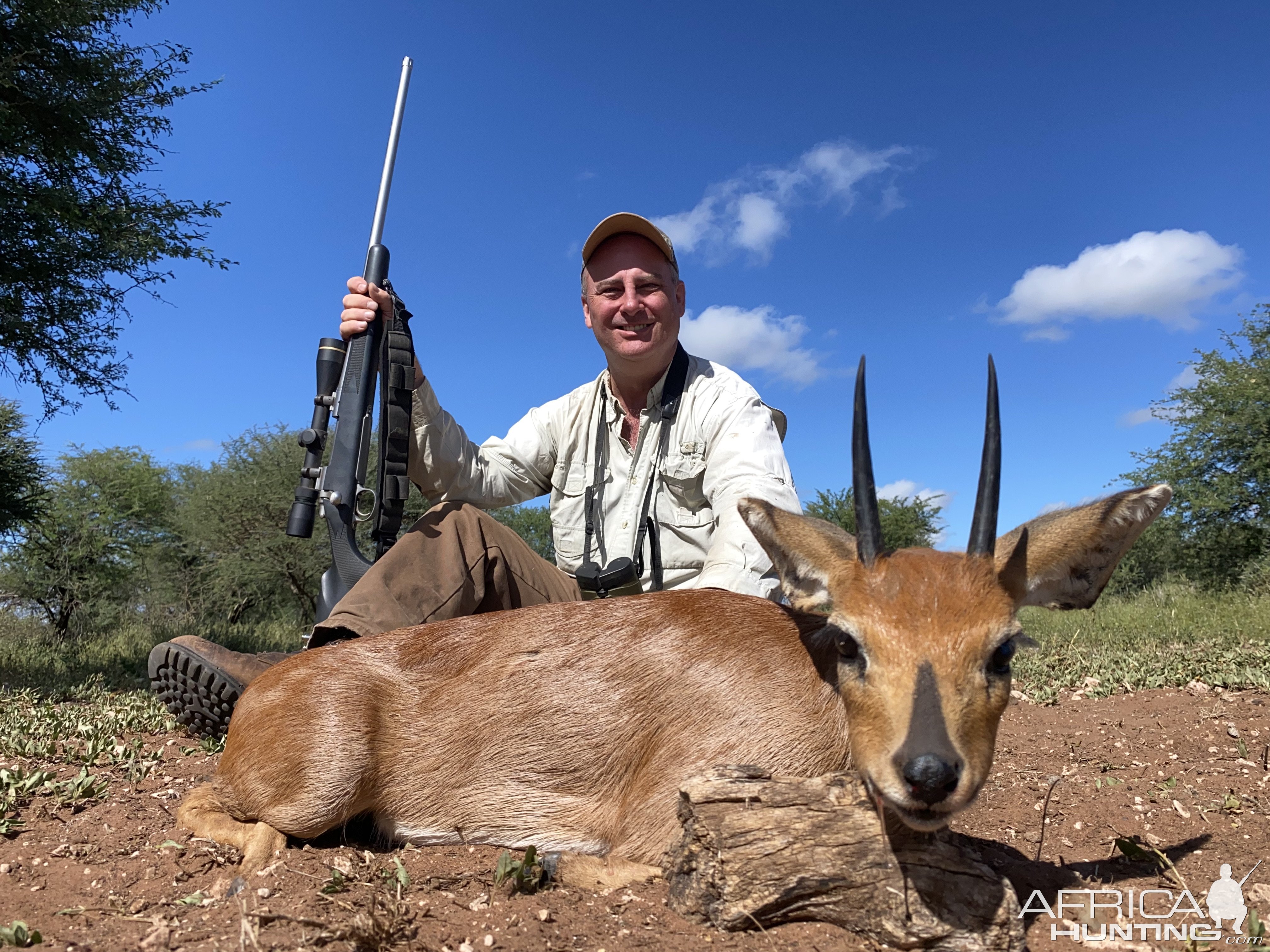 Steenbok Hunting South Africa