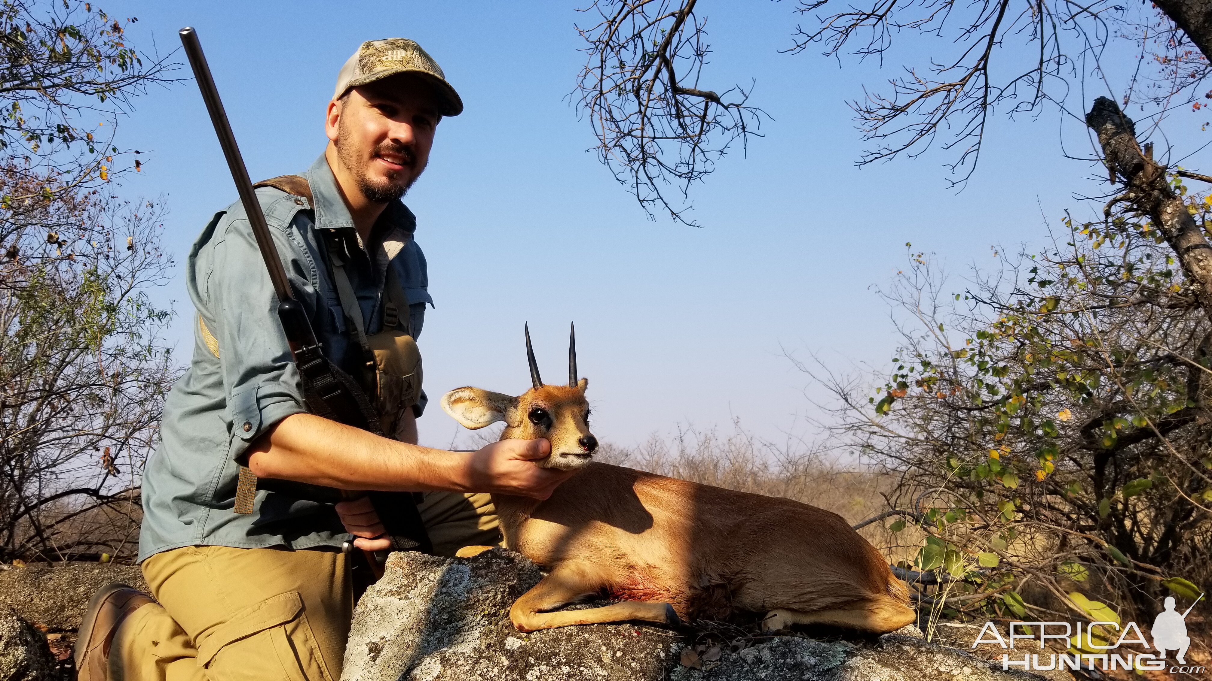 Steenbok Hunting Zimbabwe