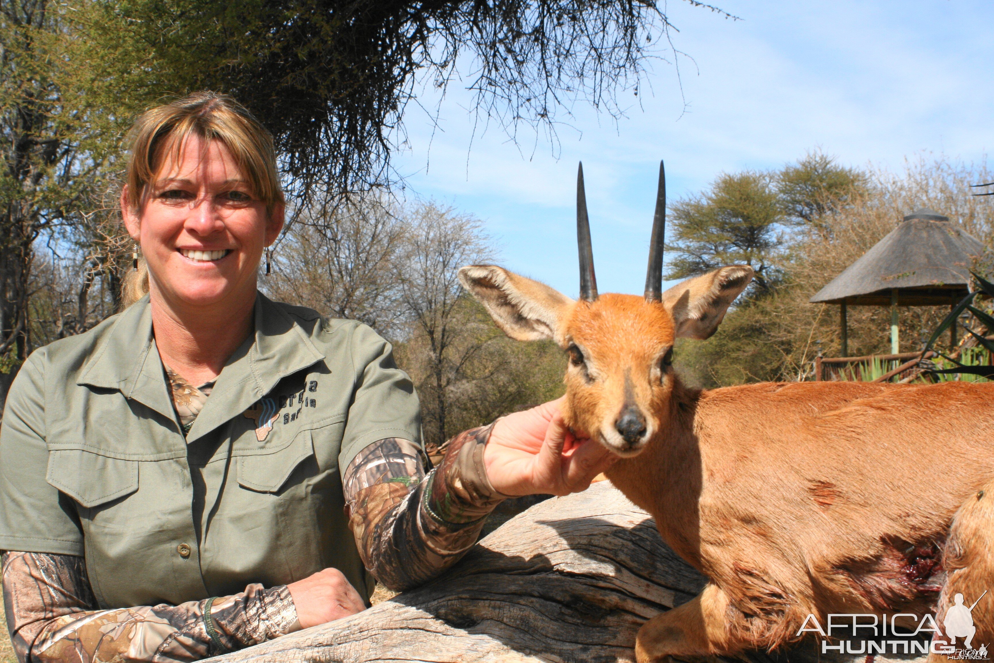 Steenbok Limcroma Safaris 2013