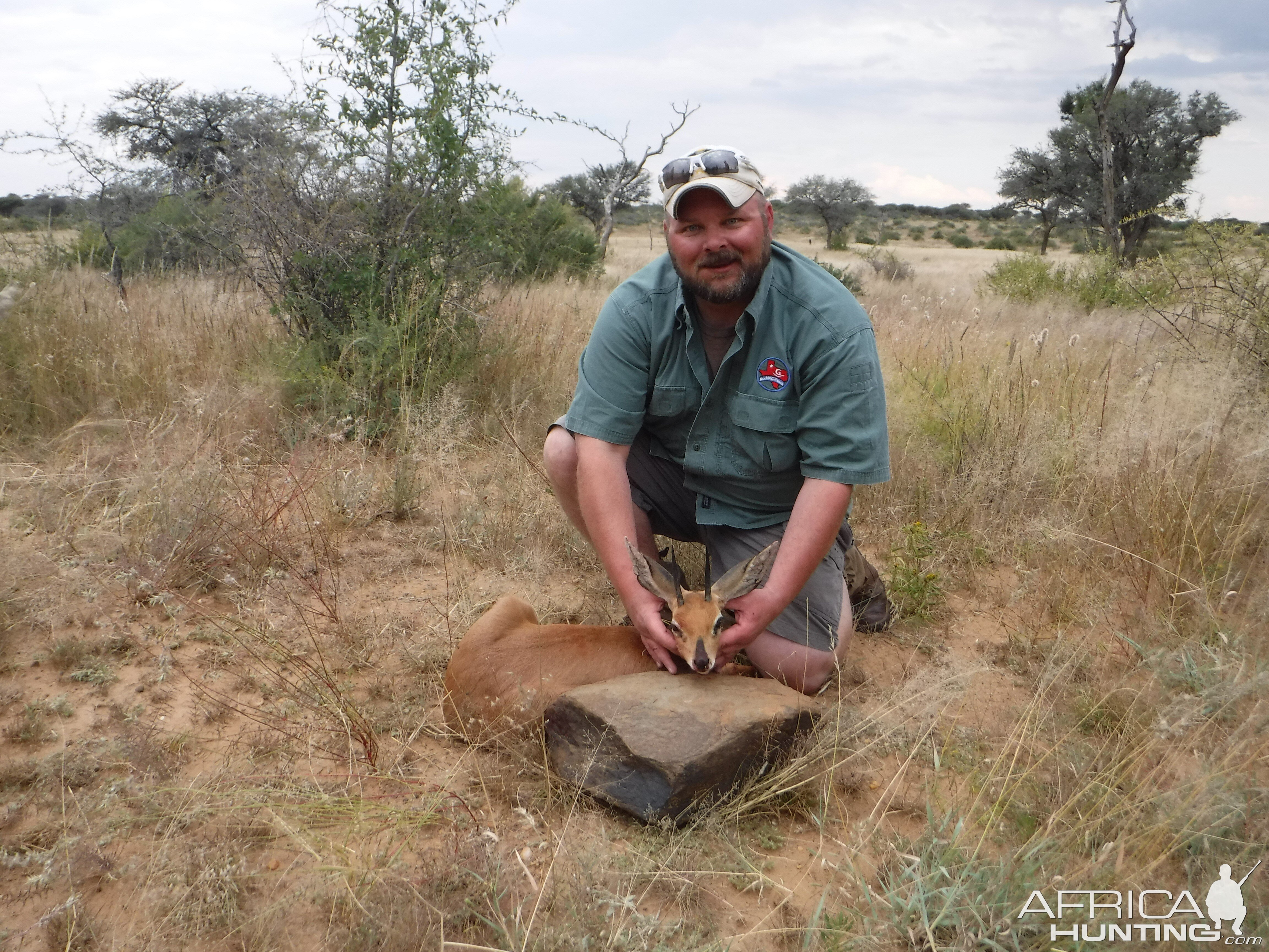 Steenbok Namibia Hunt