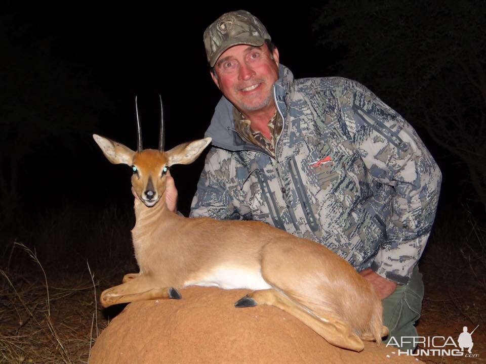 Steenbok South Africa Hunt