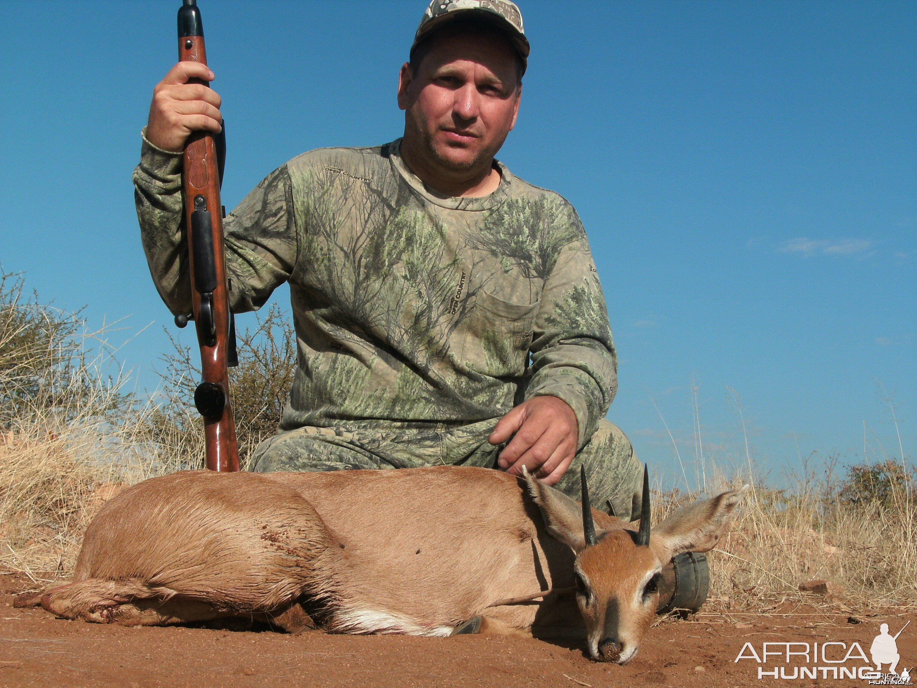 Steenbok