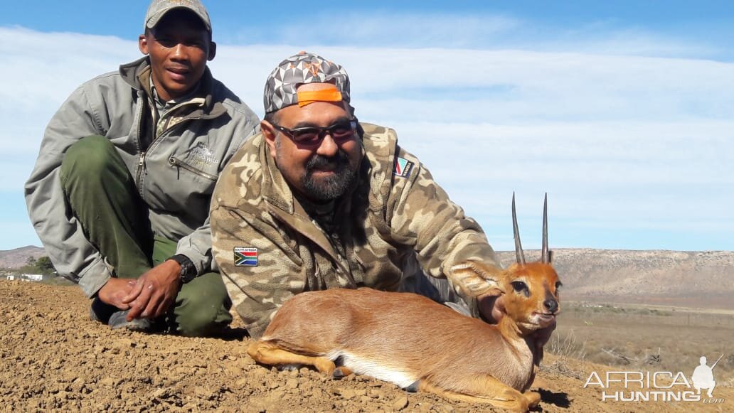 Steenbok