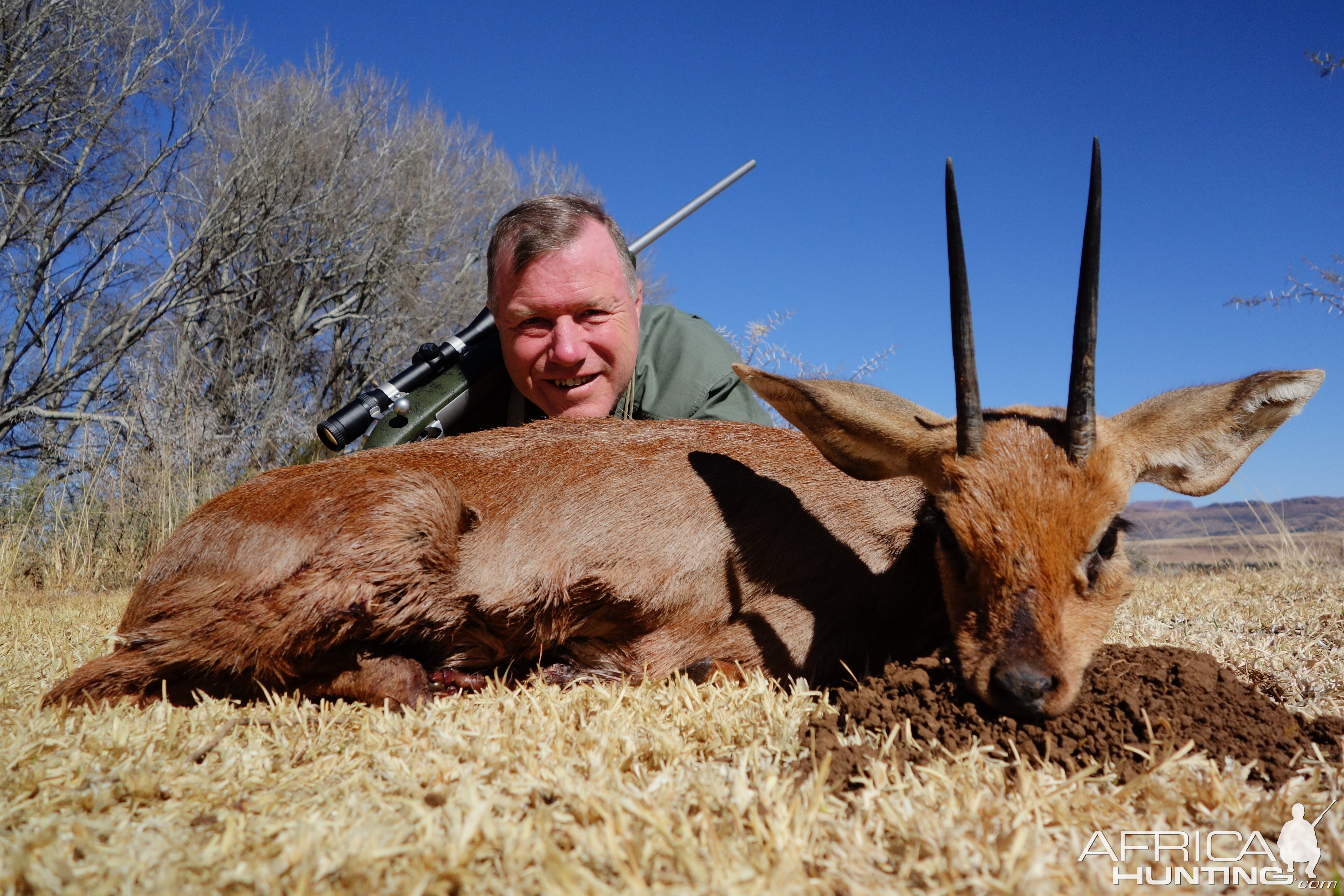 Steenbok