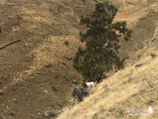 Steep country Central Washington