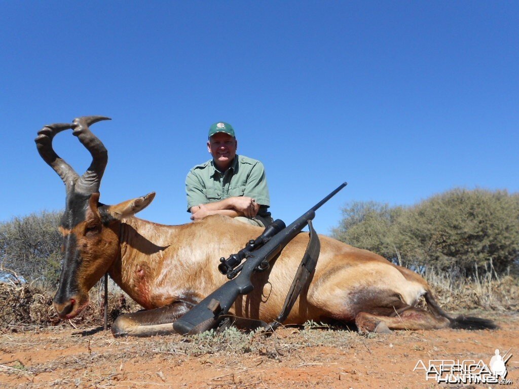 Steve Willbanks Red Hartebeest