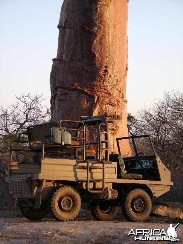 Steyr Puch Haflinger equipped for hunting