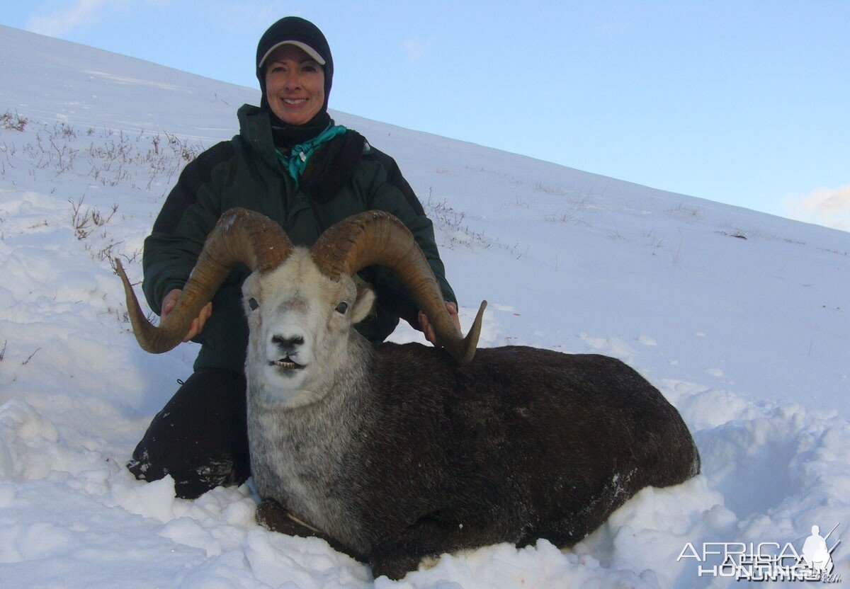 Stone Sheep '07 - British Columbia