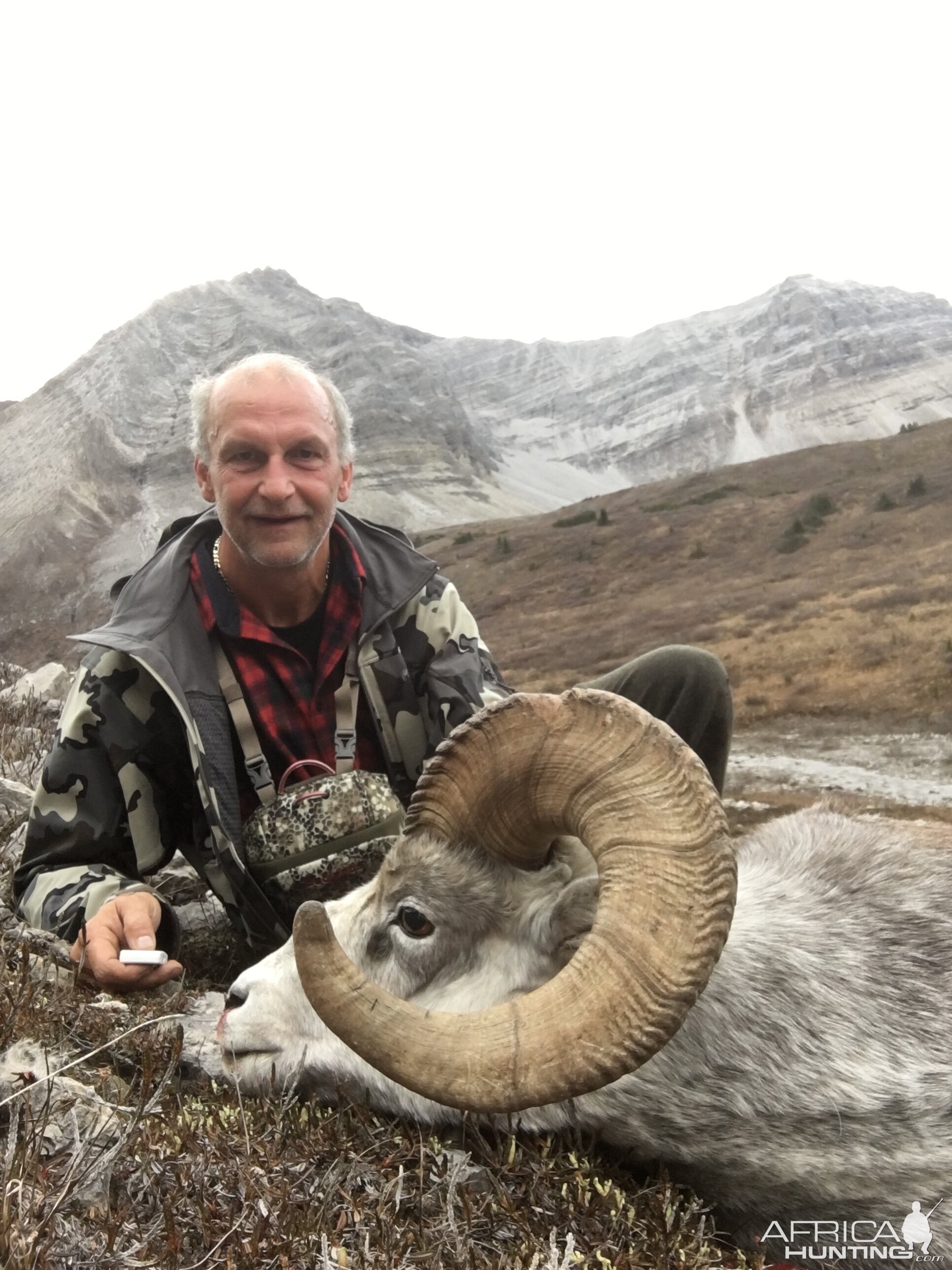 Stone Sheep Hunt Canada