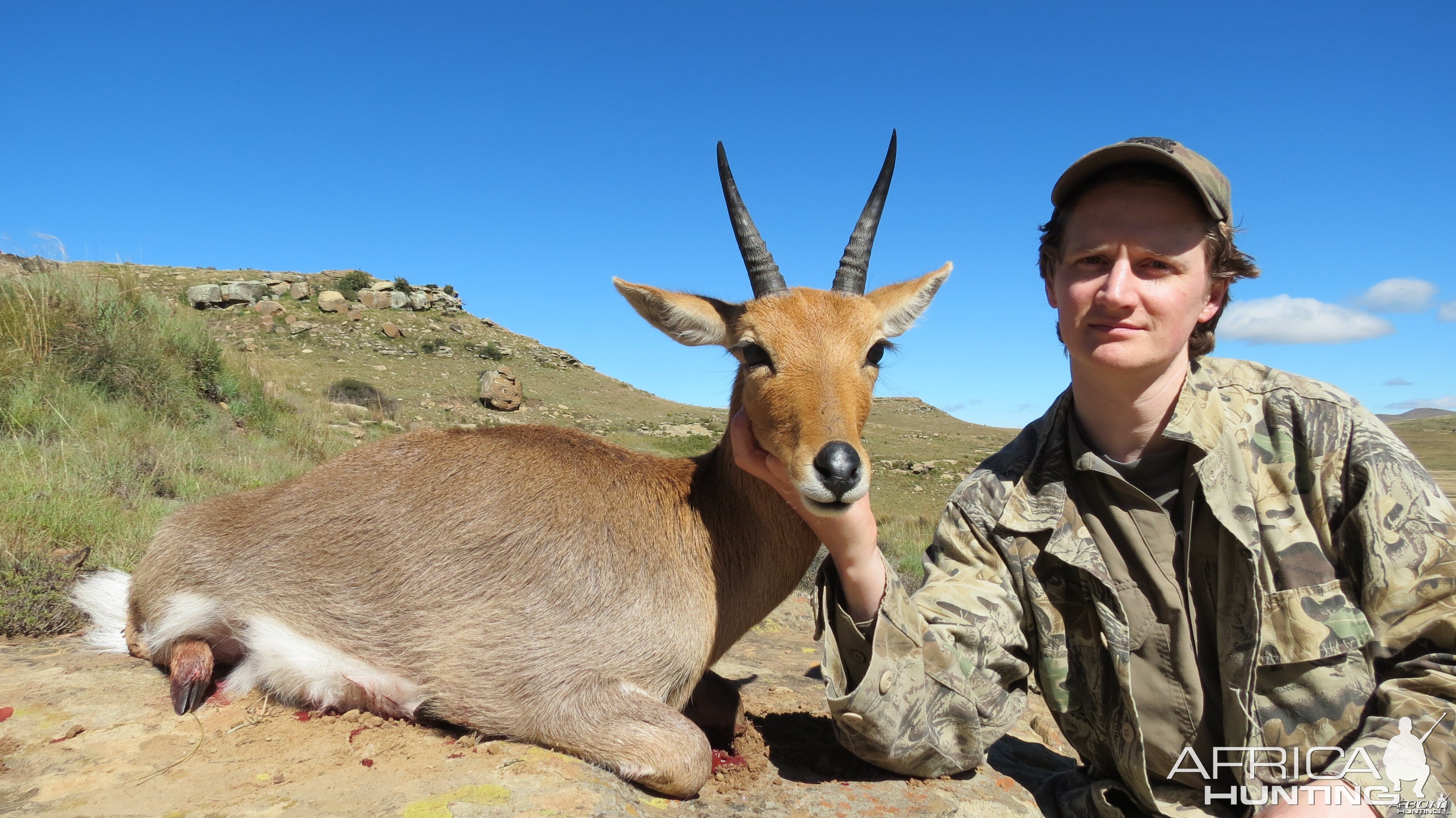 Stormberg  Mountain Reedbuck