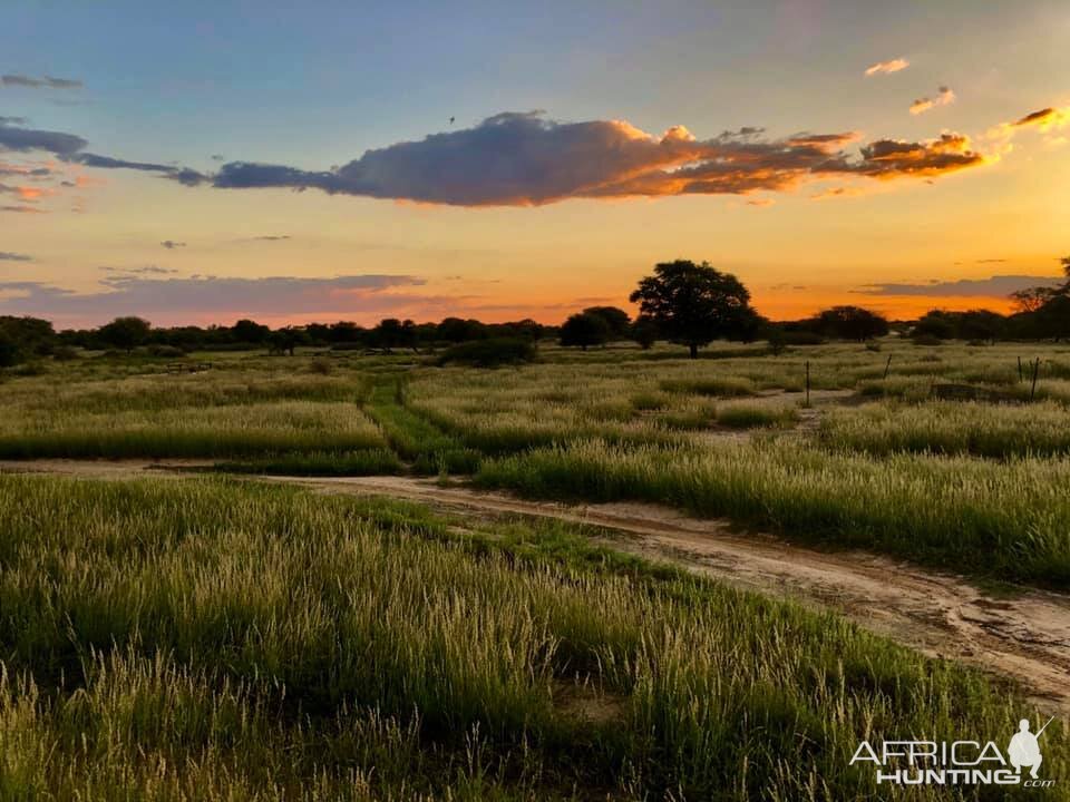 Sunrise in South Africa