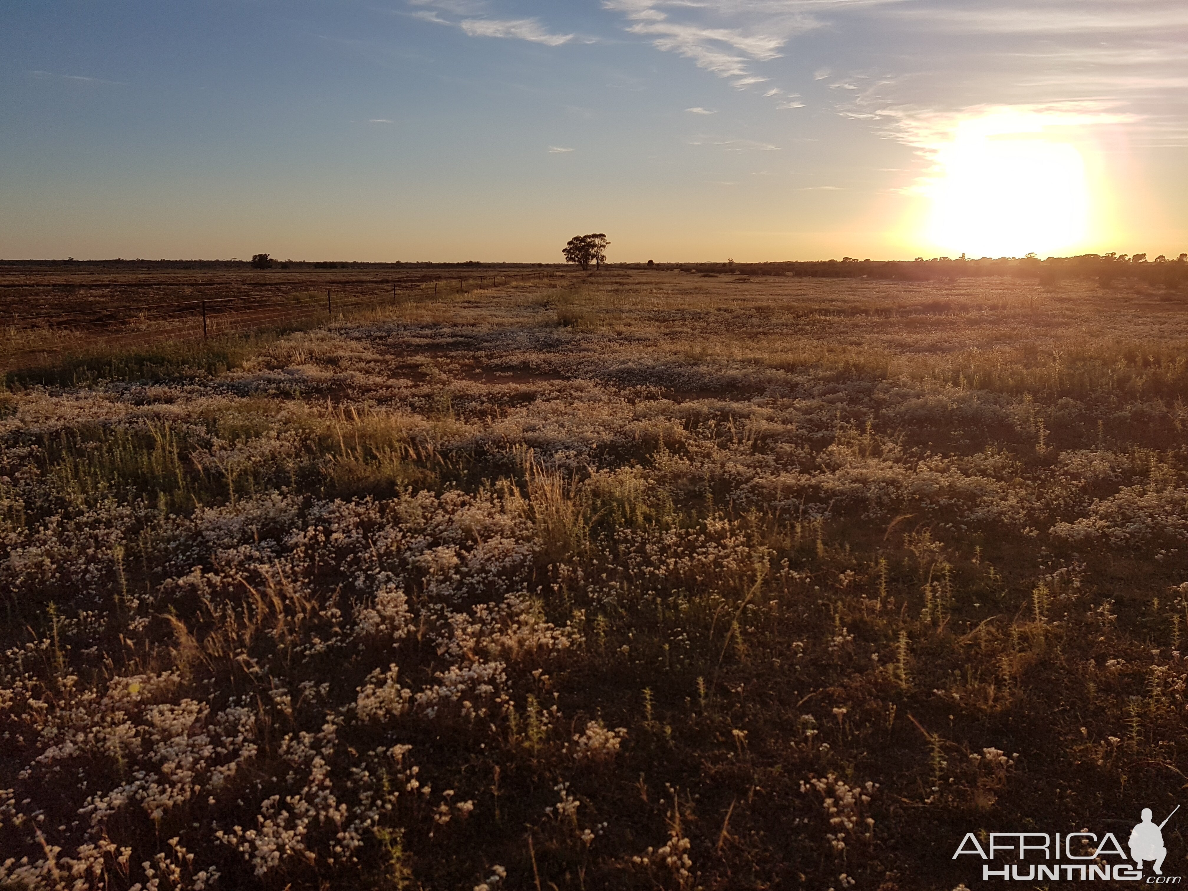 Sunrise In The Outback Australia