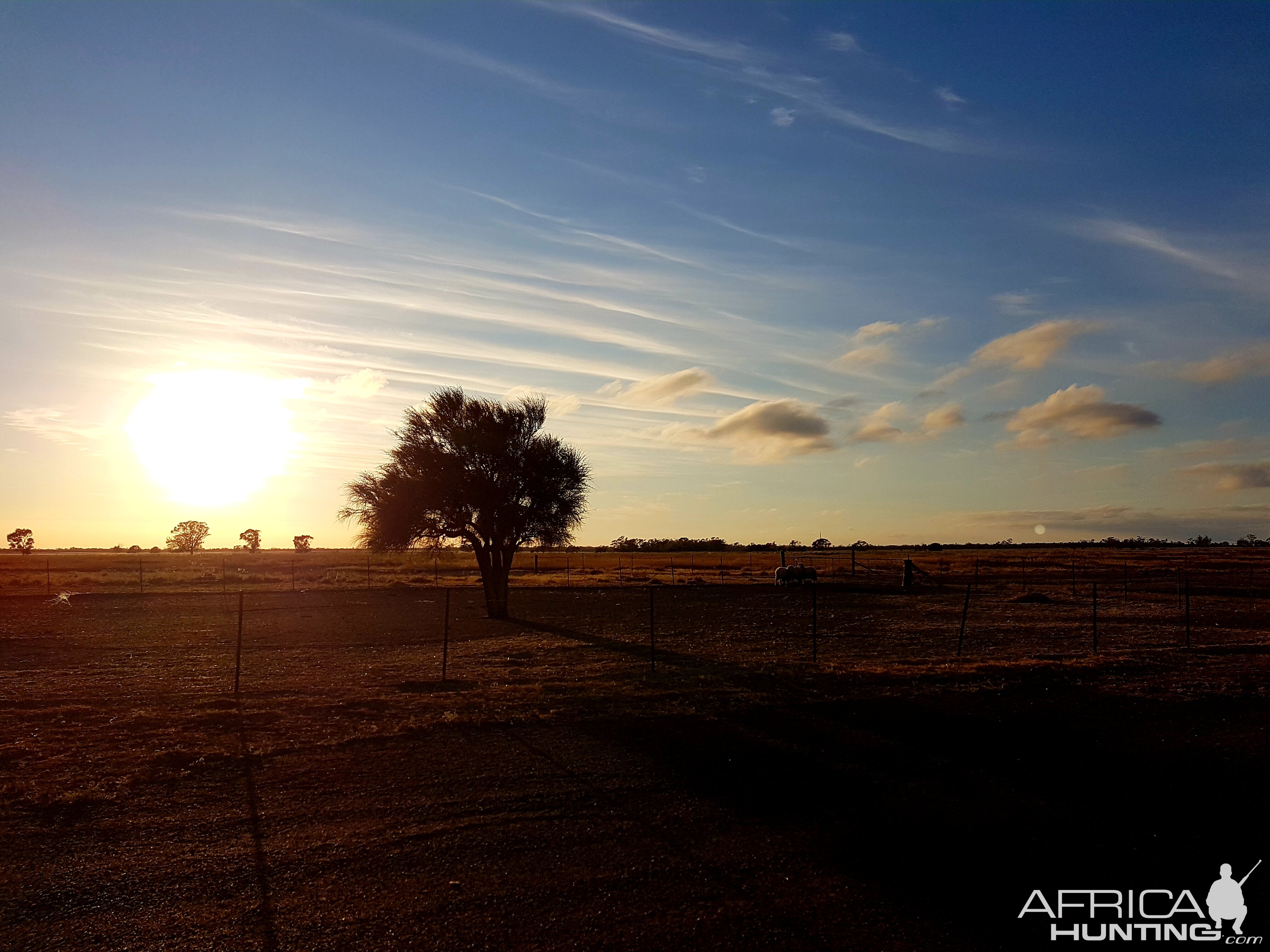 Sunrise In The Outback Australia