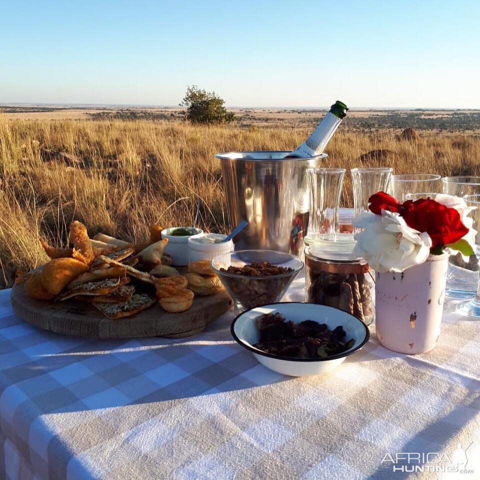 Sunset Bushveld Picnic South Africa