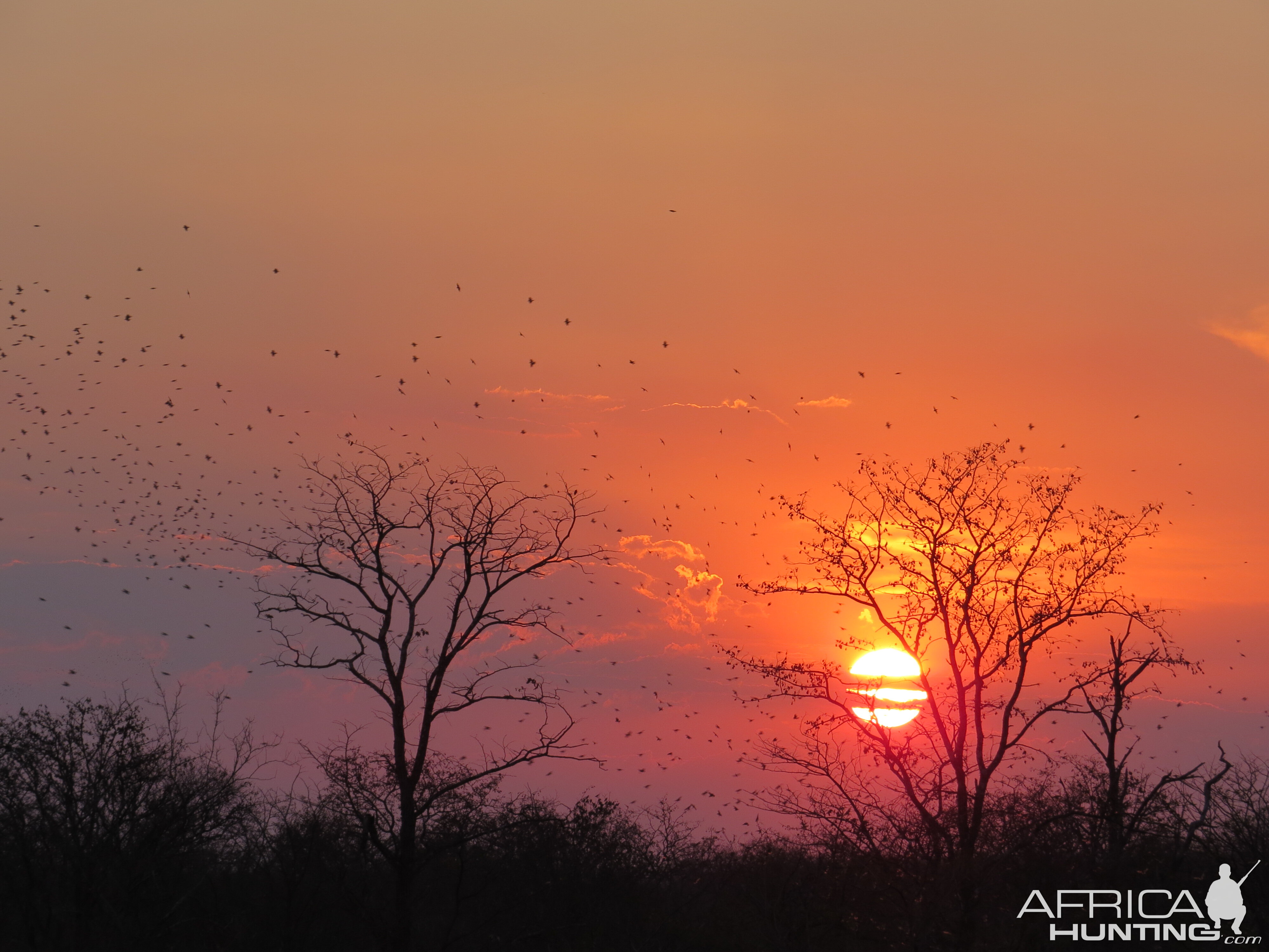 Sunset in Zimbabwe