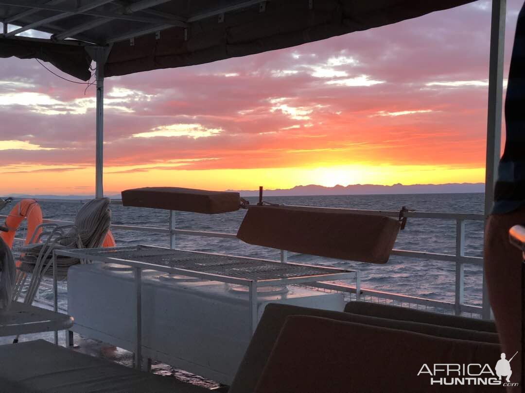 Sunset on Boat Cruise