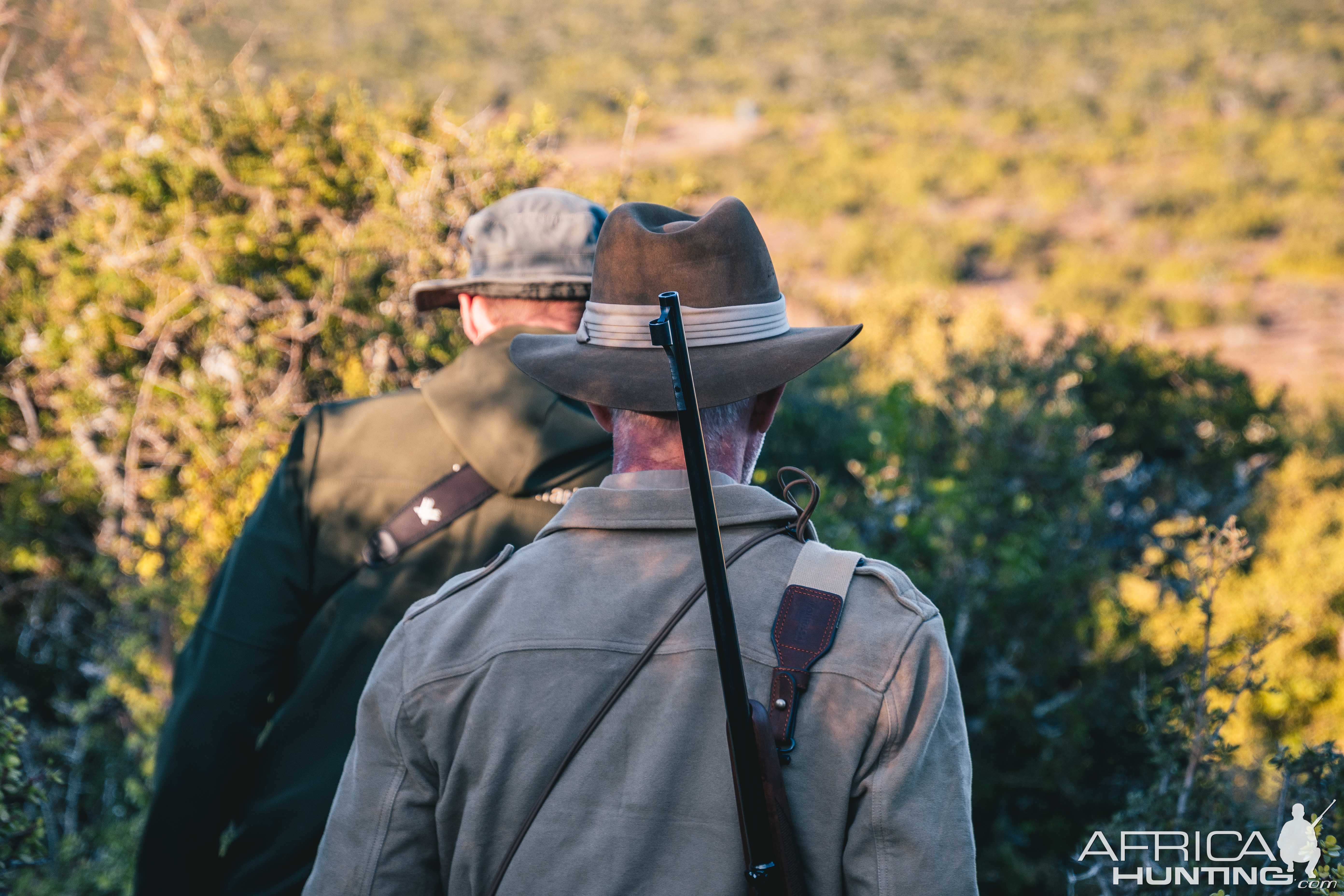 Sunset Stalking - Umlilo Safaris