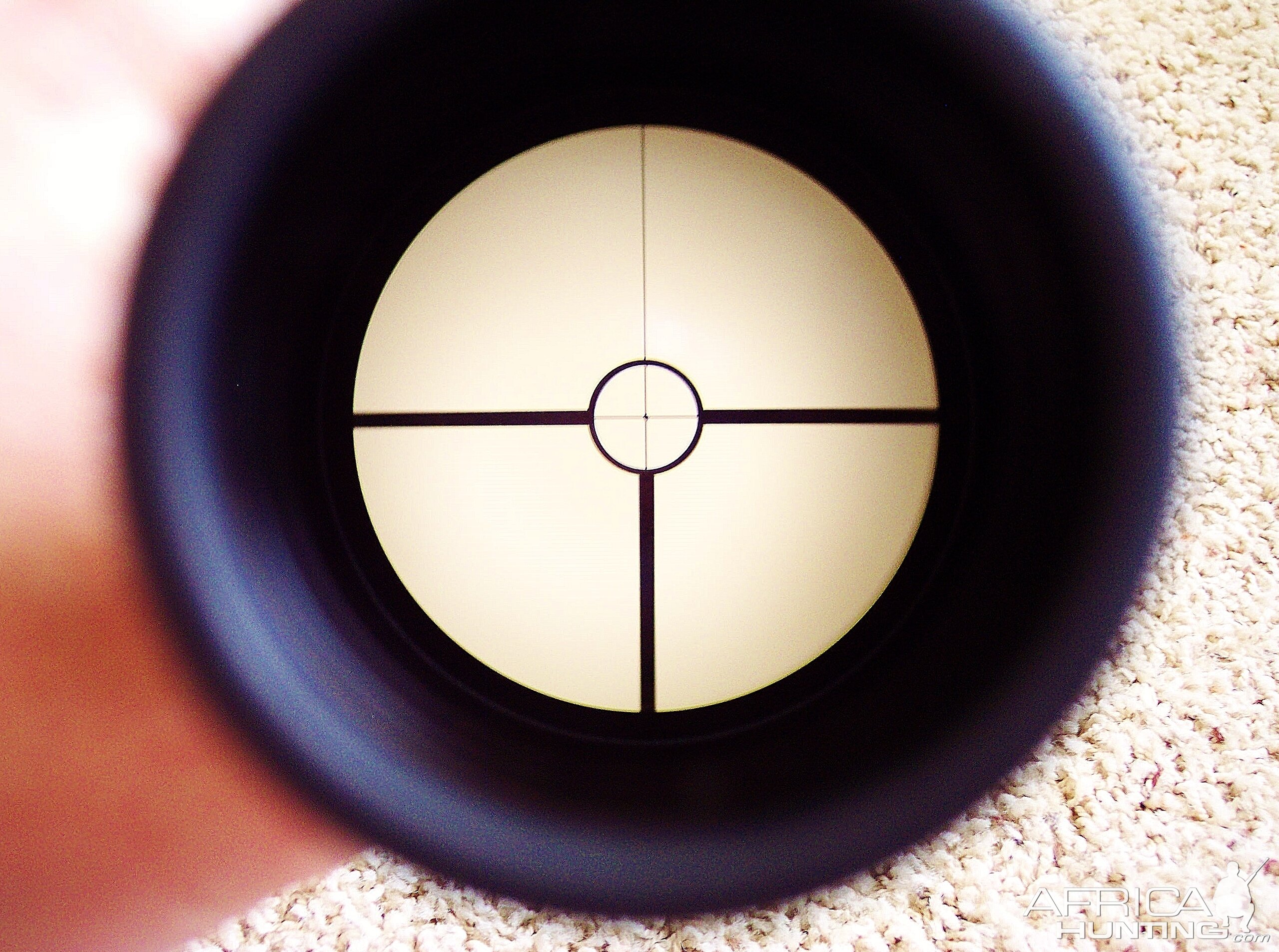 Swarovski Dangerous Game scope 1.254x24mm 1st focal plane