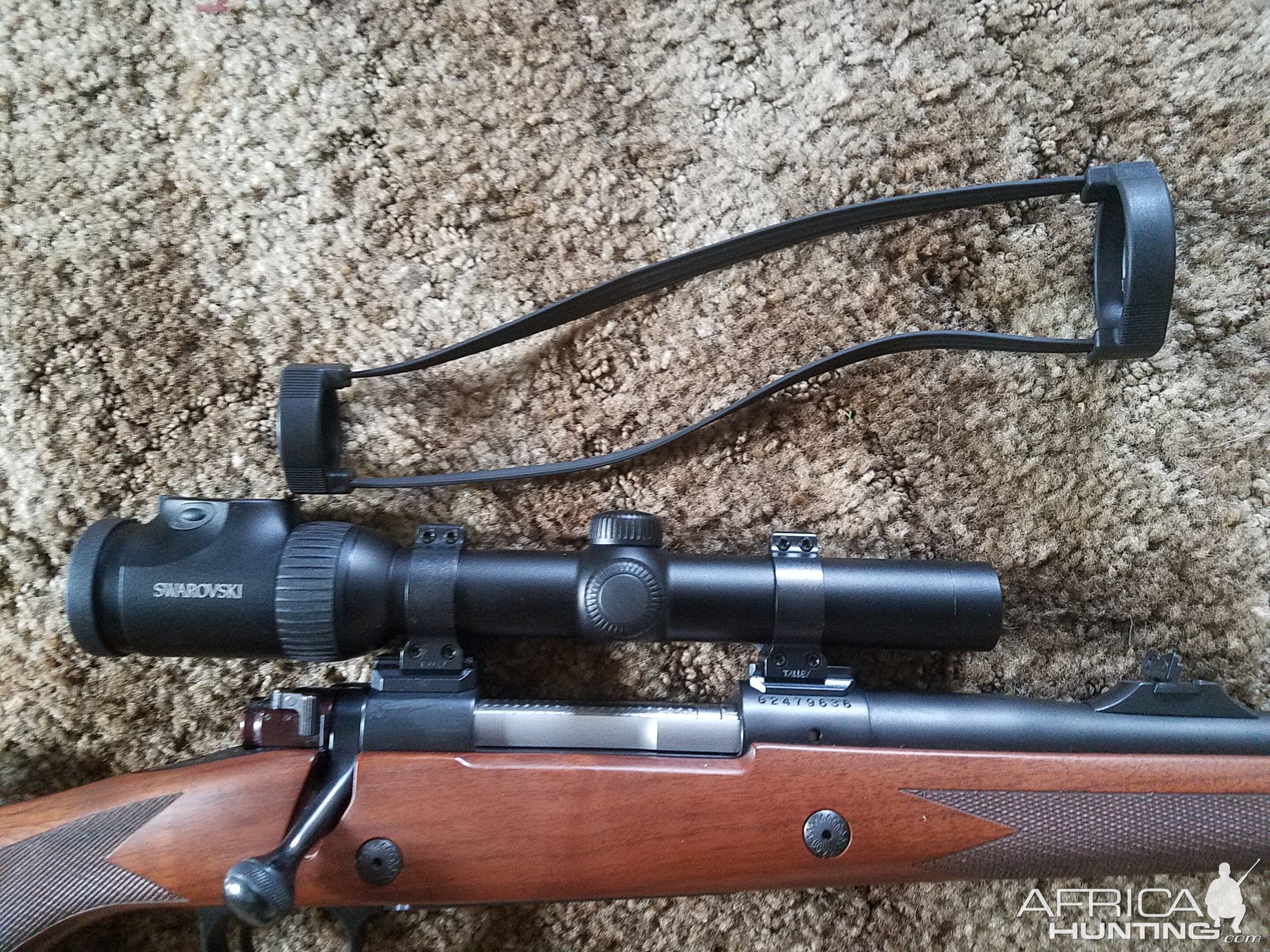 omfatte klap kun Swarovski Z6i 1-6x24 Riflescope | AfricaHunting.com