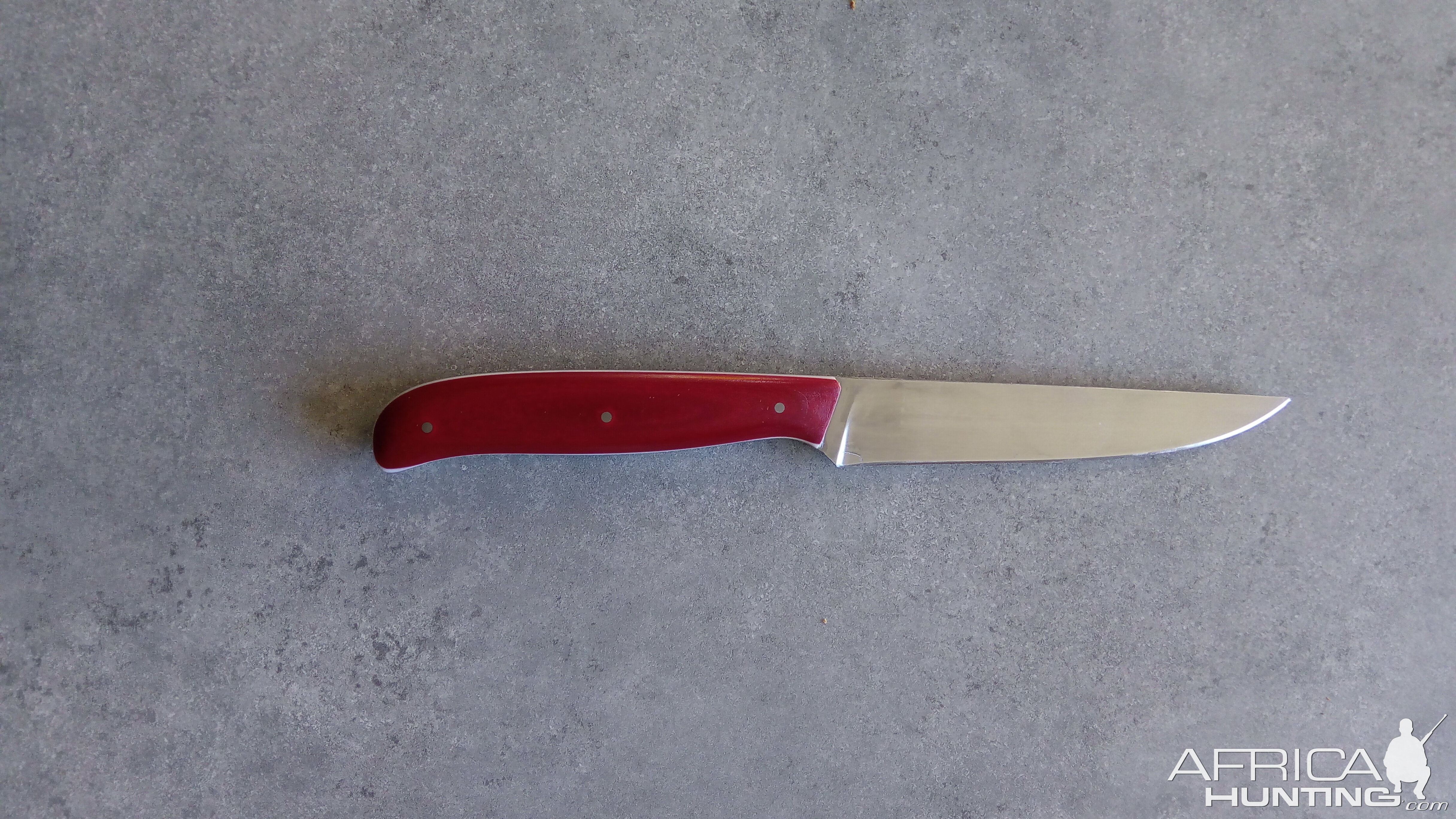 Table Knife