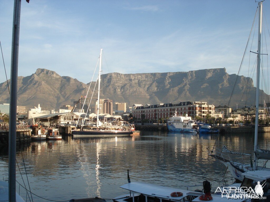 Table Mountain from the V&A Waterfront