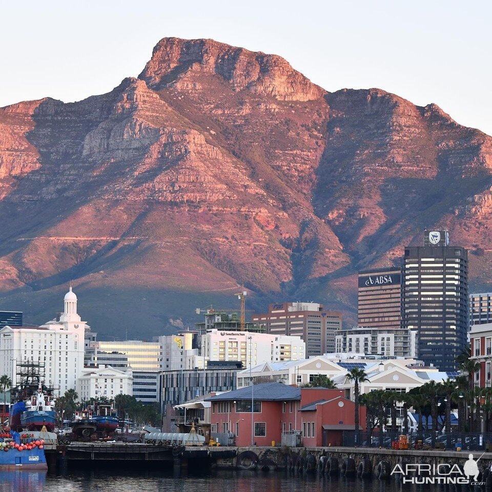 Table mountain