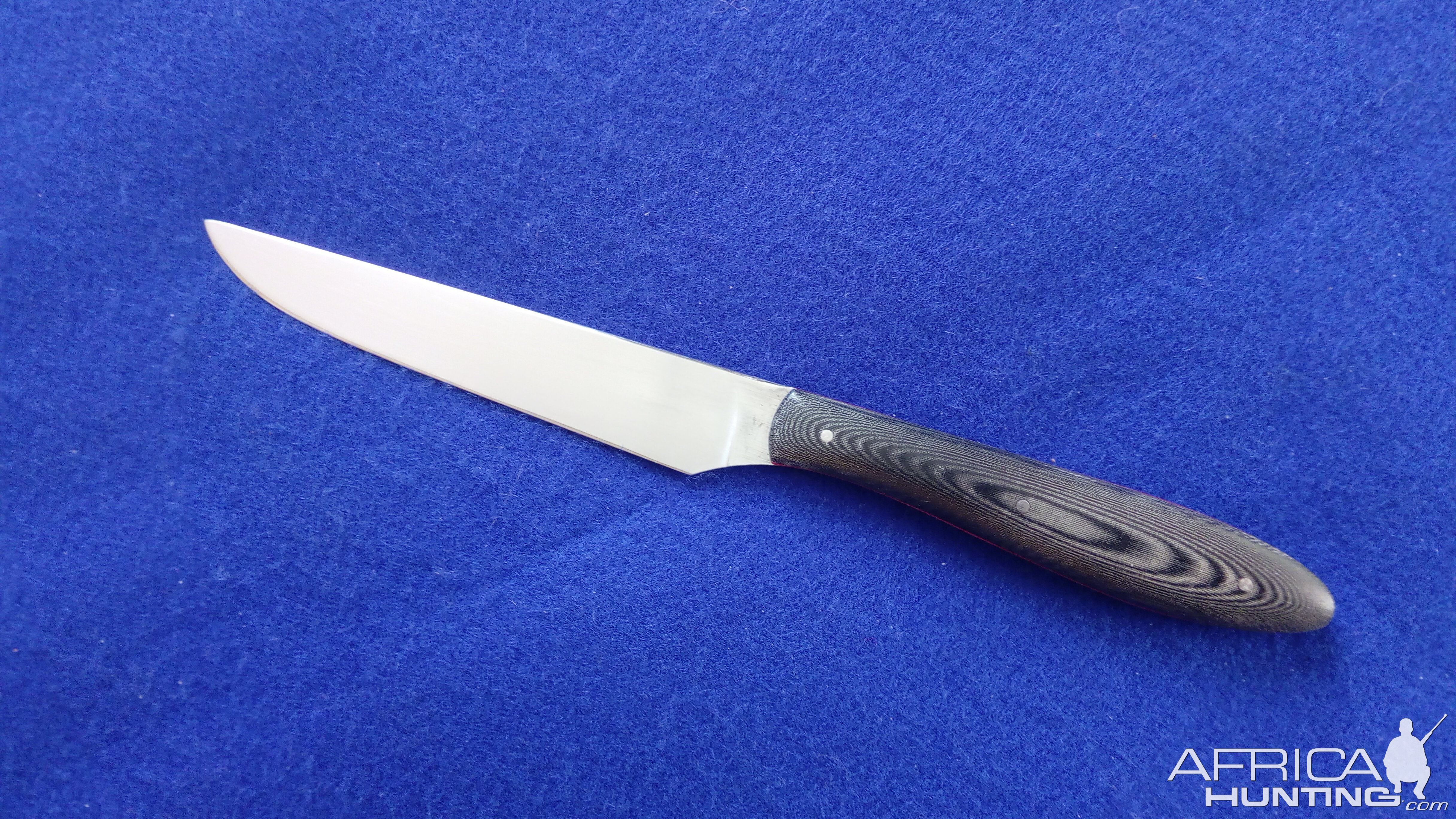 Table/Steak Knife