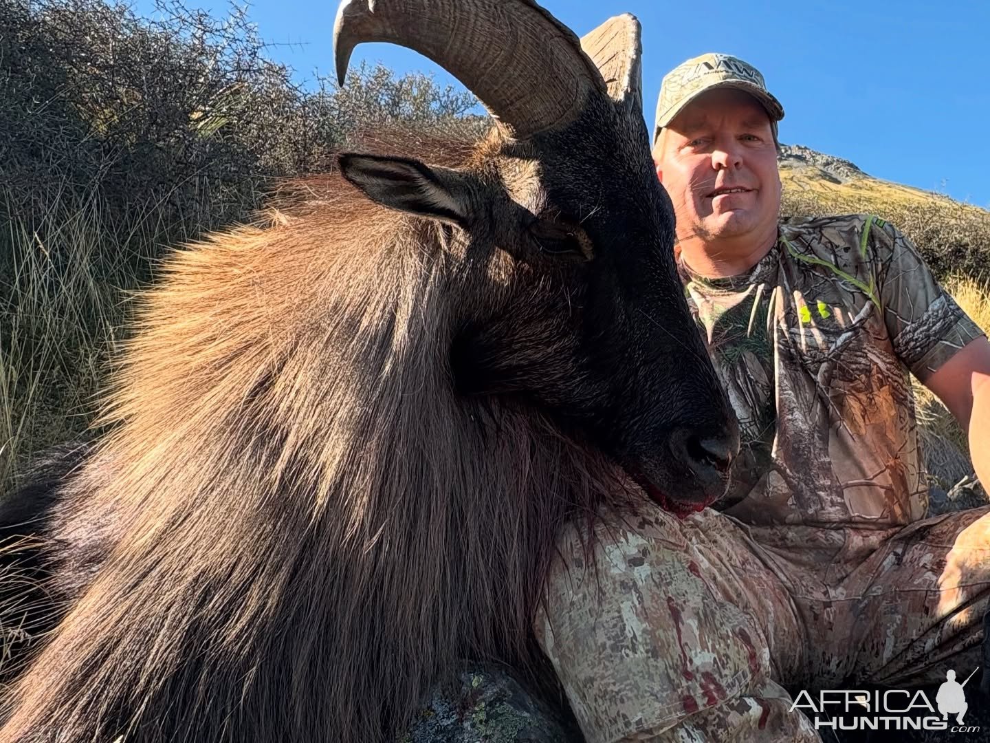 Tahr Hunt New Zealand