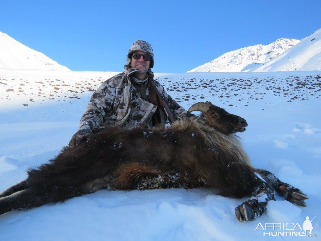 Tahr Hunting New Zealand