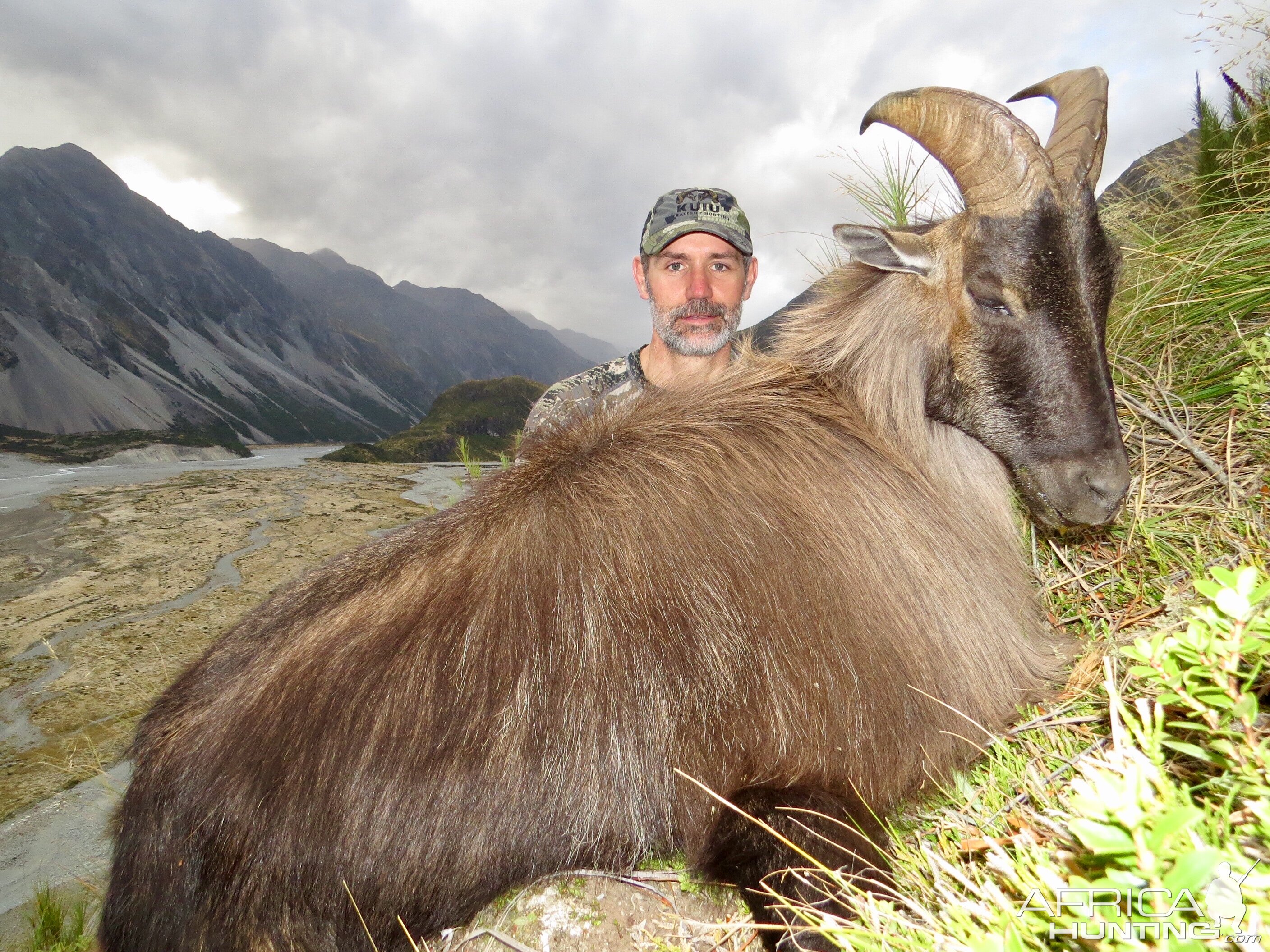 Tahr Hunting New Zealand