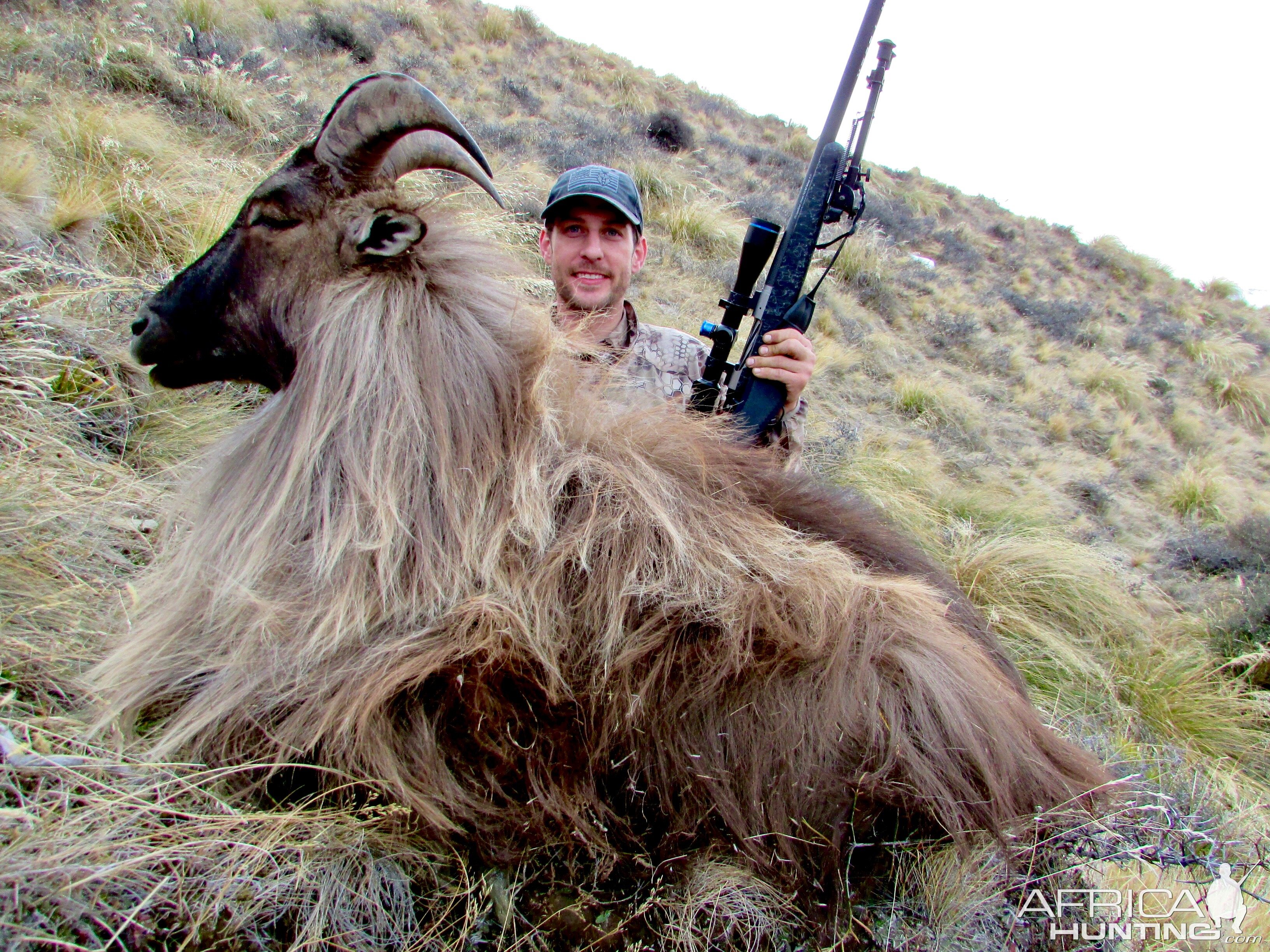 Tahr Hunting New Zealand