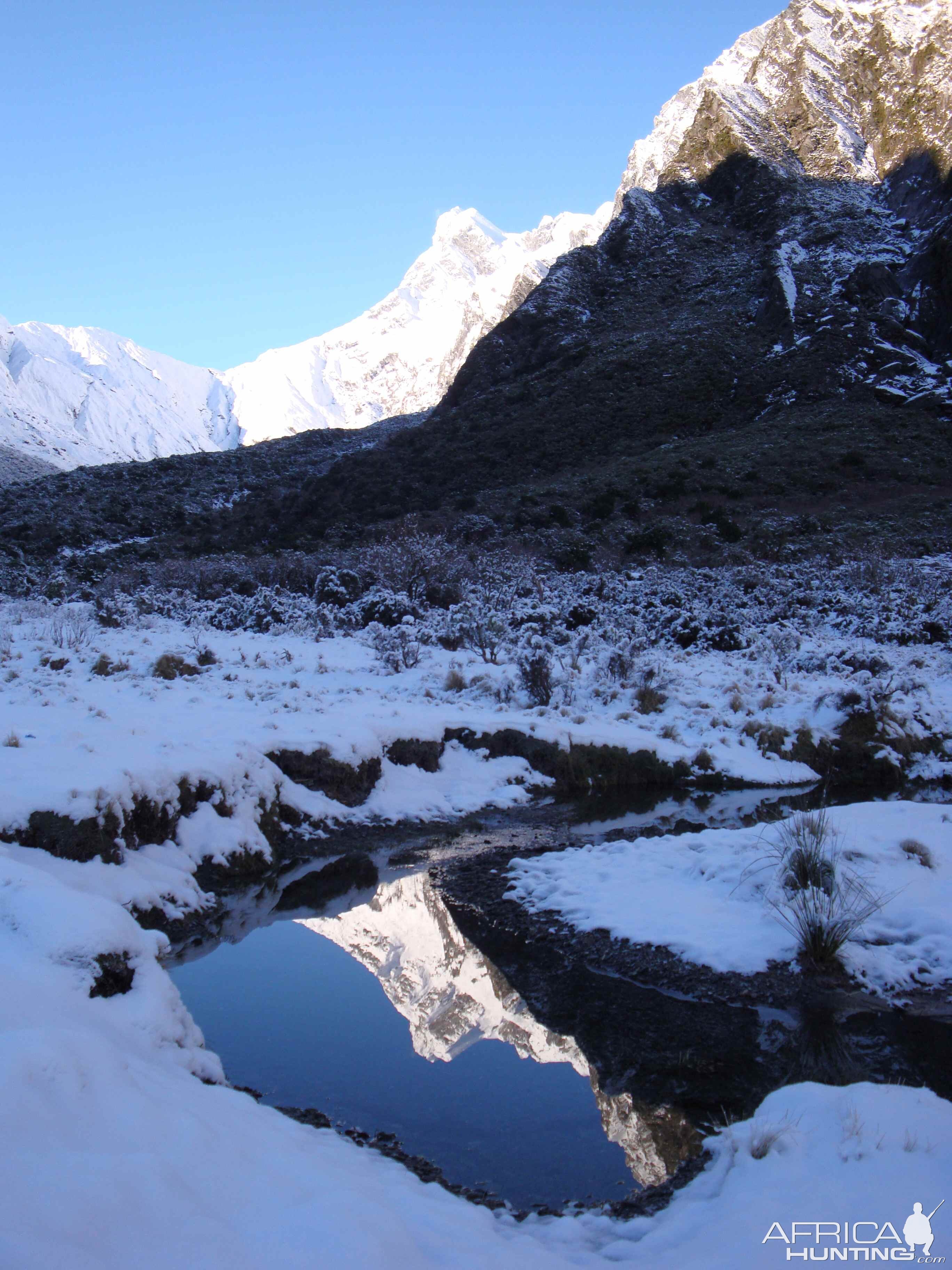 Tahr hunting