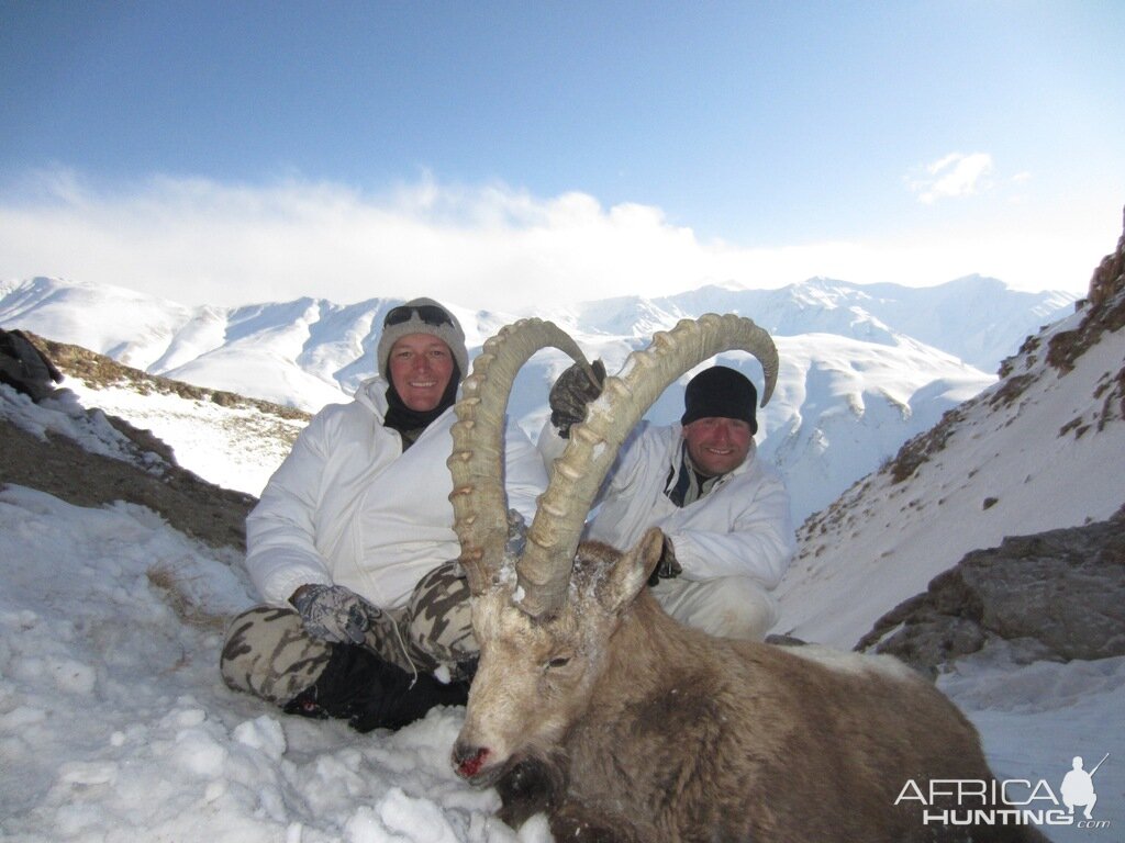 Tajikistan Mountain Ibex Hunt
