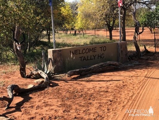 Tally-Ho Entrance Gate